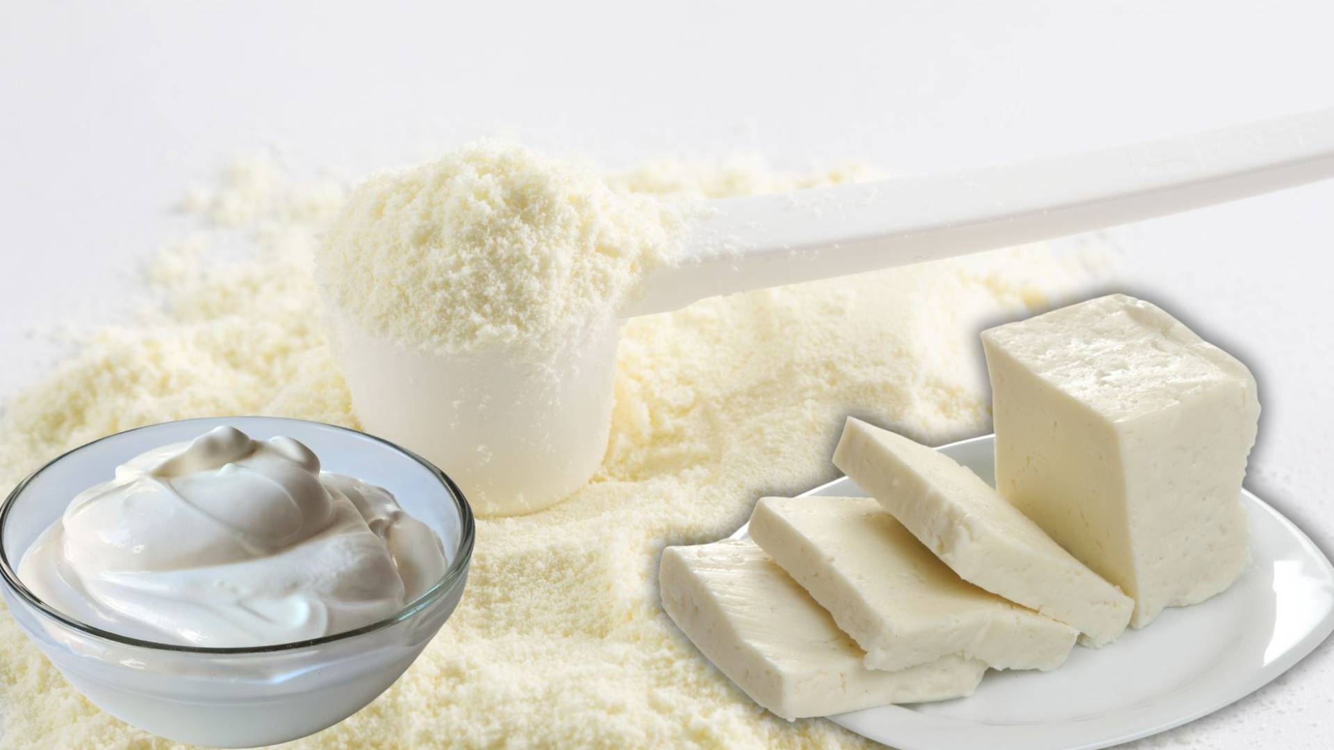 صورة تظهر حليب مجفف وألبان وأجبان