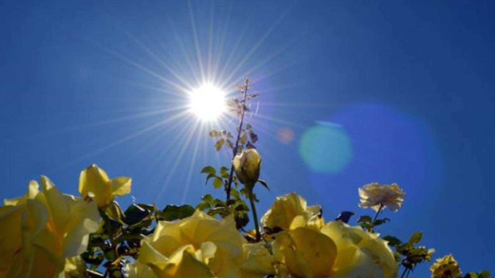 أجواء حارة - تعبيرية