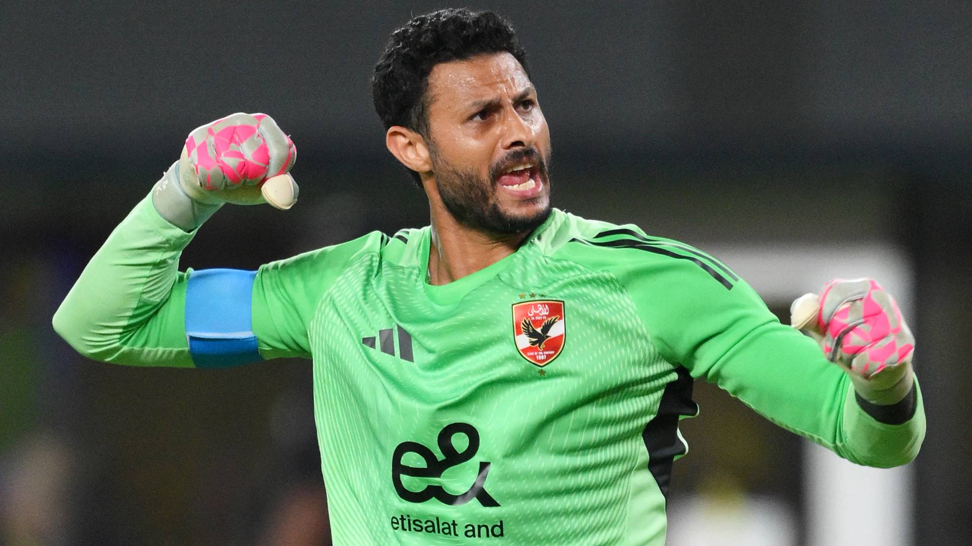 محمد الشناوي