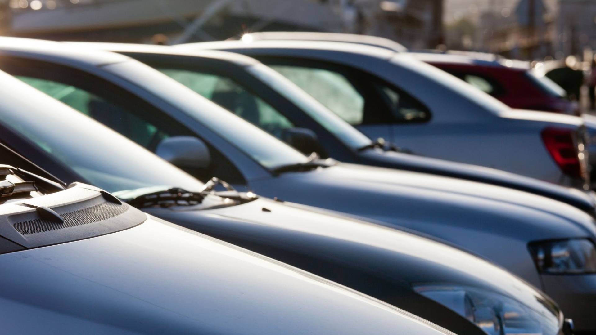 تجارة السيارات