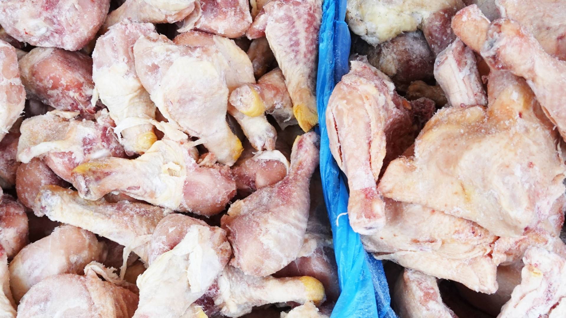 دجاج فاسد "أرشيفية"