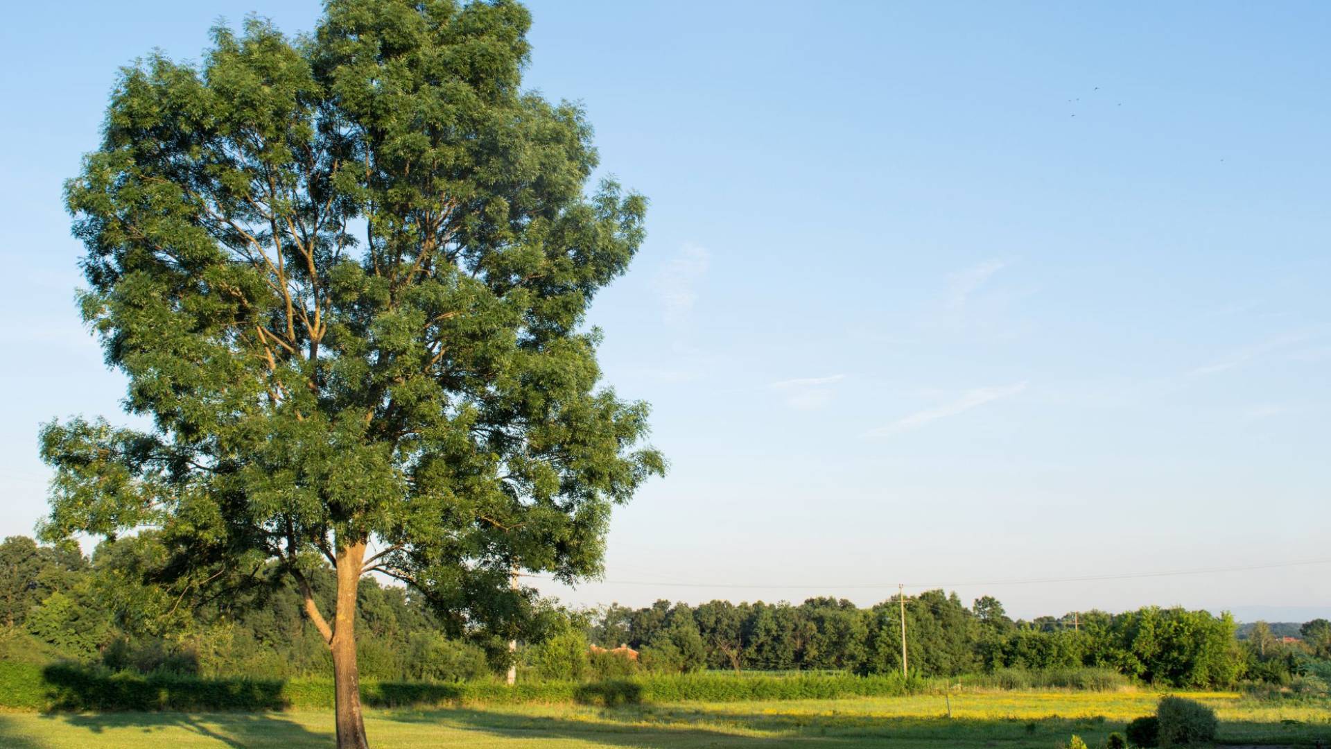 طقس العرب: نسائم منعشة في الصباح الباكر وأجواء صيفية اعتيادية في الأردن الجمعة