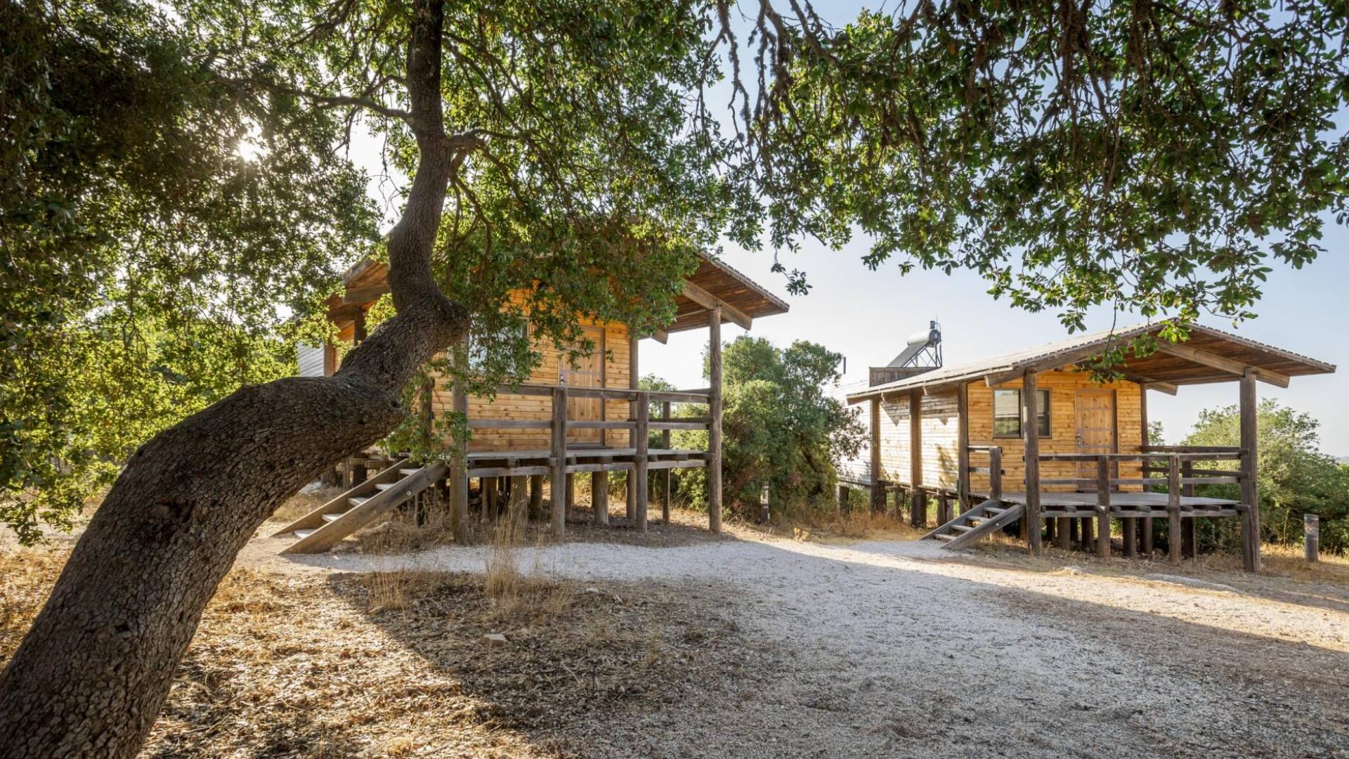 محمية غابات عجلون