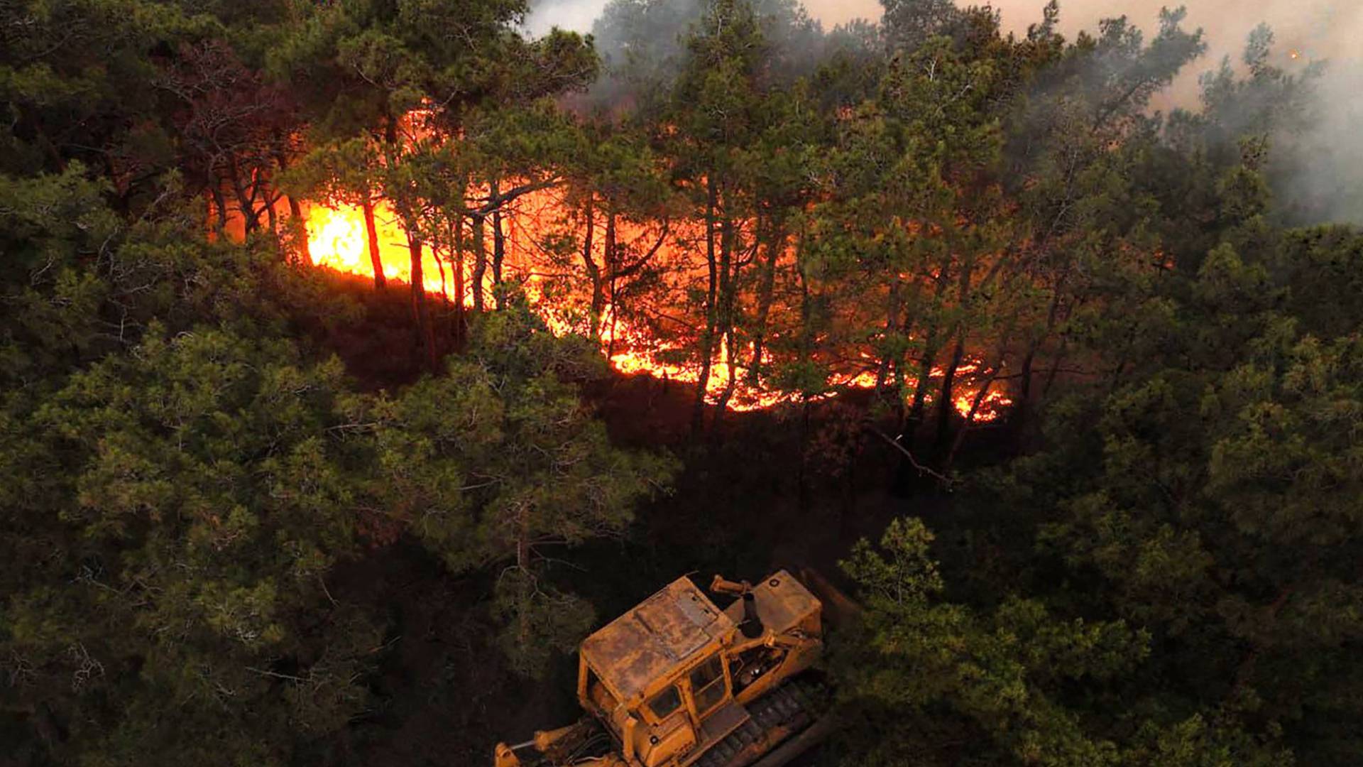 حرائق اللاذقية