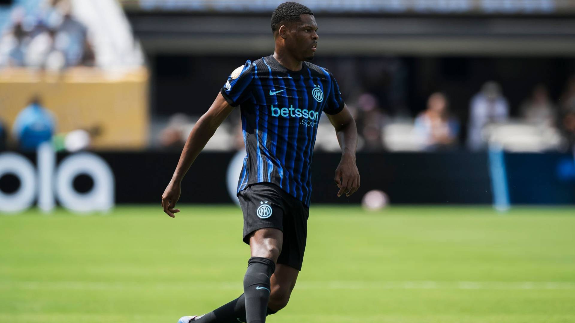 دينزل دومفريس