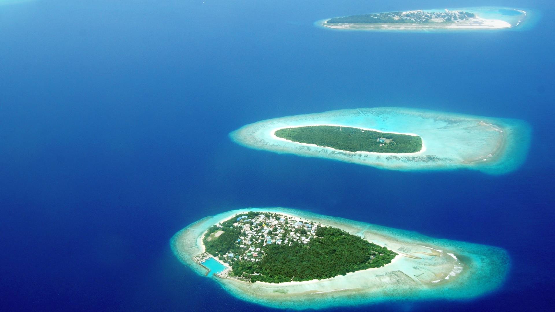 جزر الواق واق