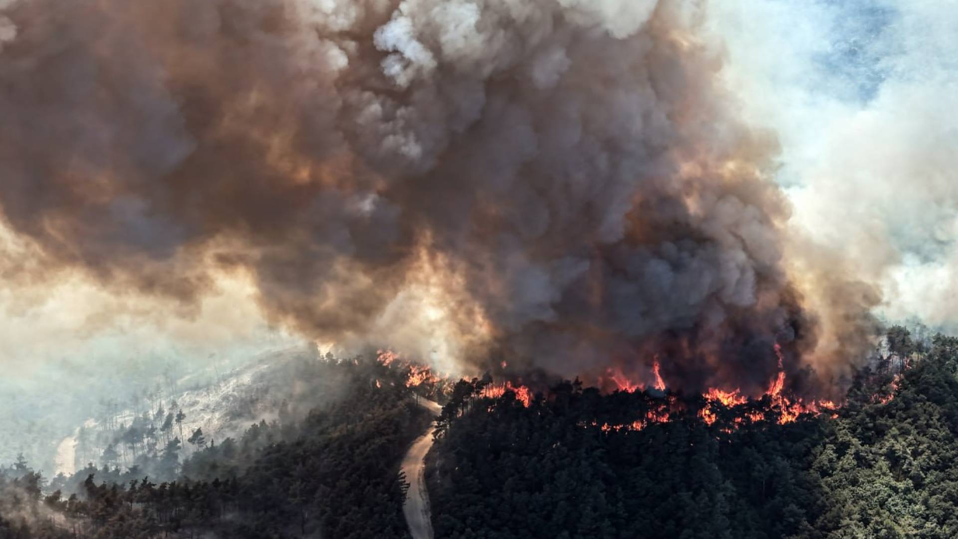 حرائق اللاذقية