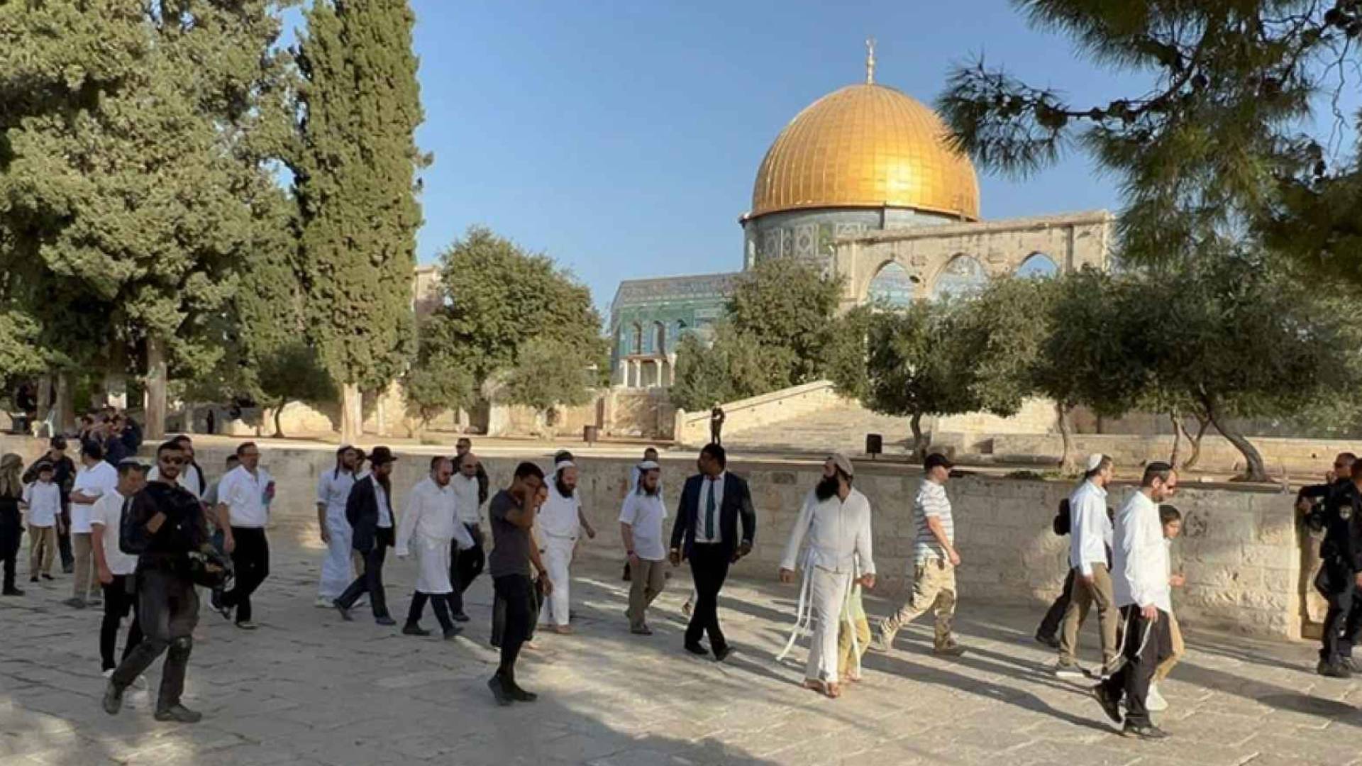 مستوطنون يقتحمون باحات المسجد الأقصى
