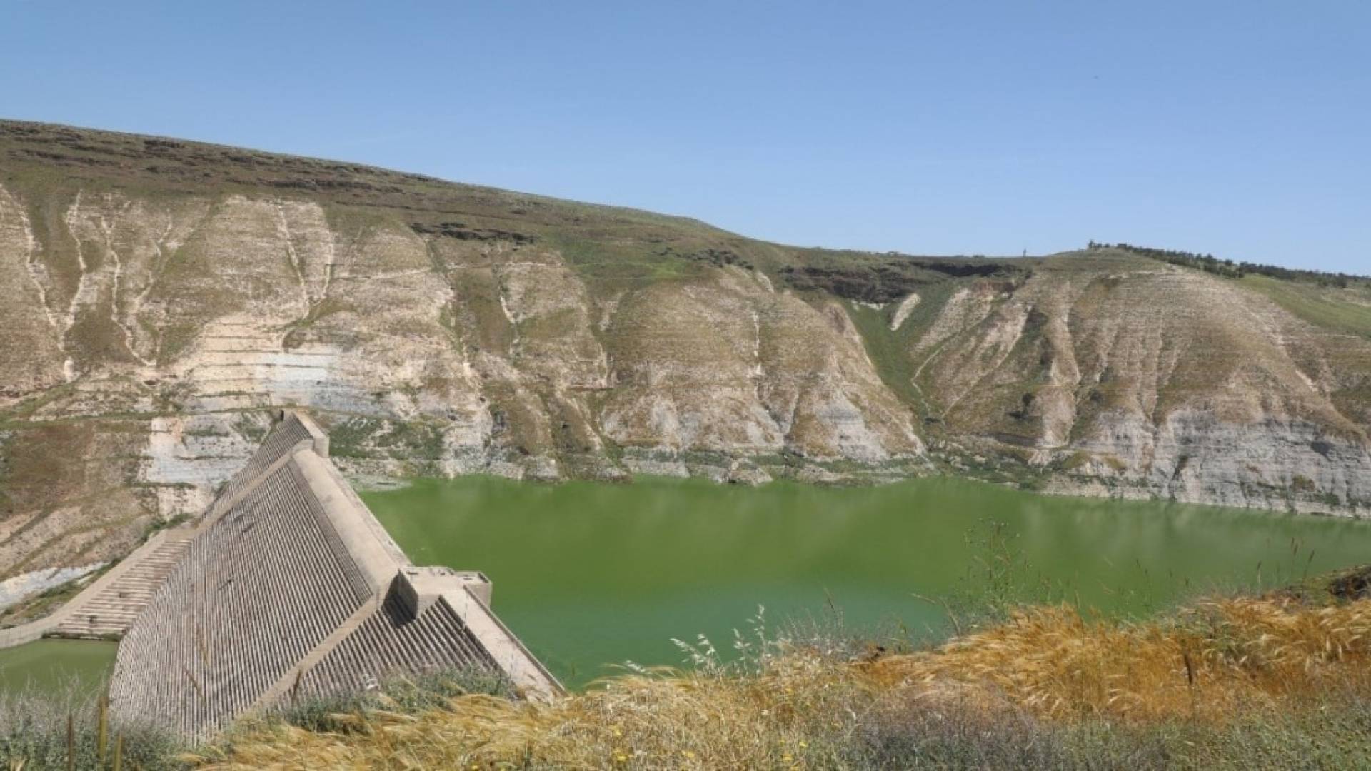 سلامة لـ"رؤيا": سوريا تؤكد حفاظها على حصة الأردن من مياه سد الوحدة