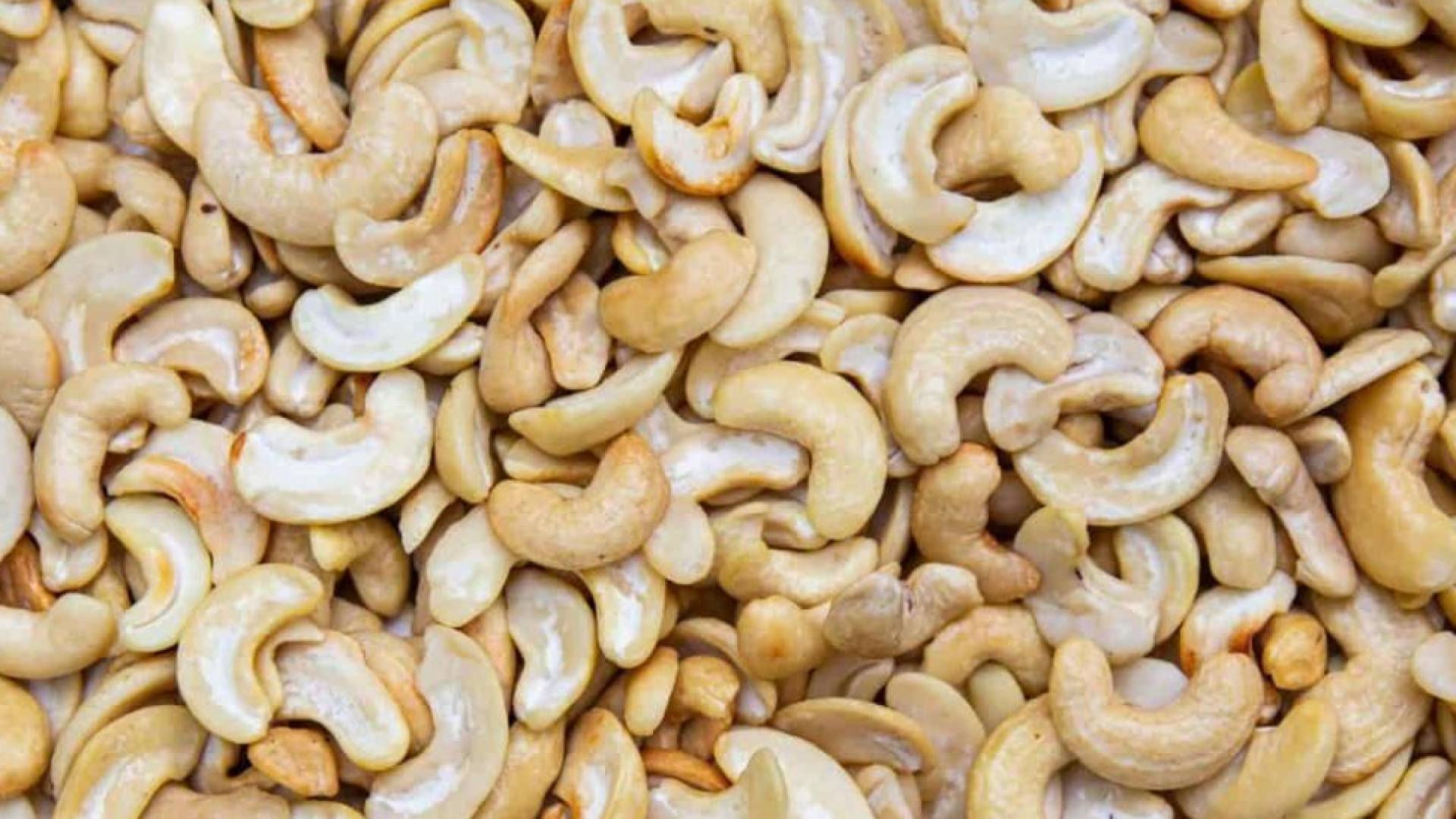 دراسة حديثة تكشف فعالية مستخلصات الكاجو في تحسين الصحة العامة