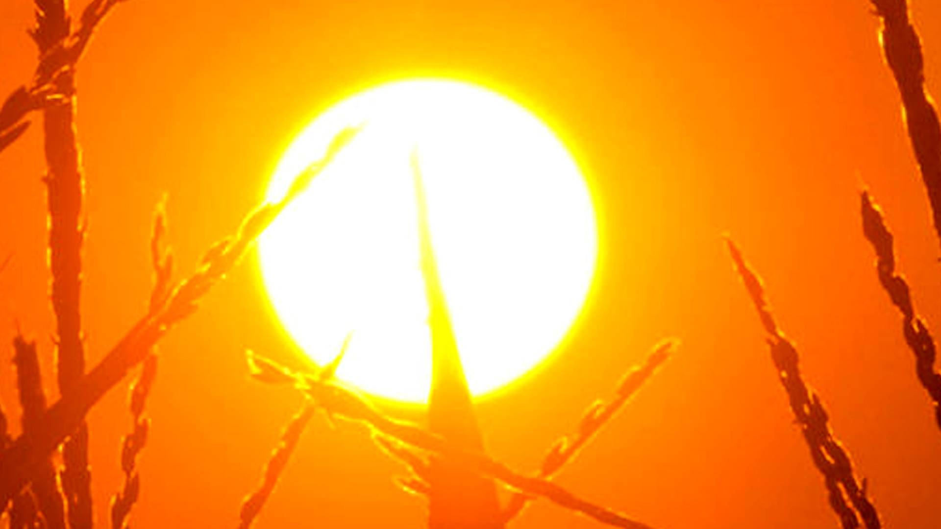 أجواء حارة - تعبيرية