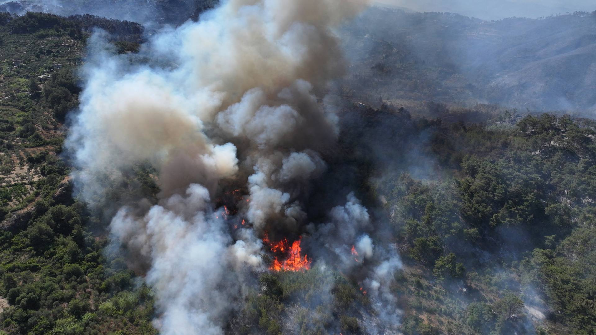 تصاعد الدخان بحريق غابات بالساحل السوري