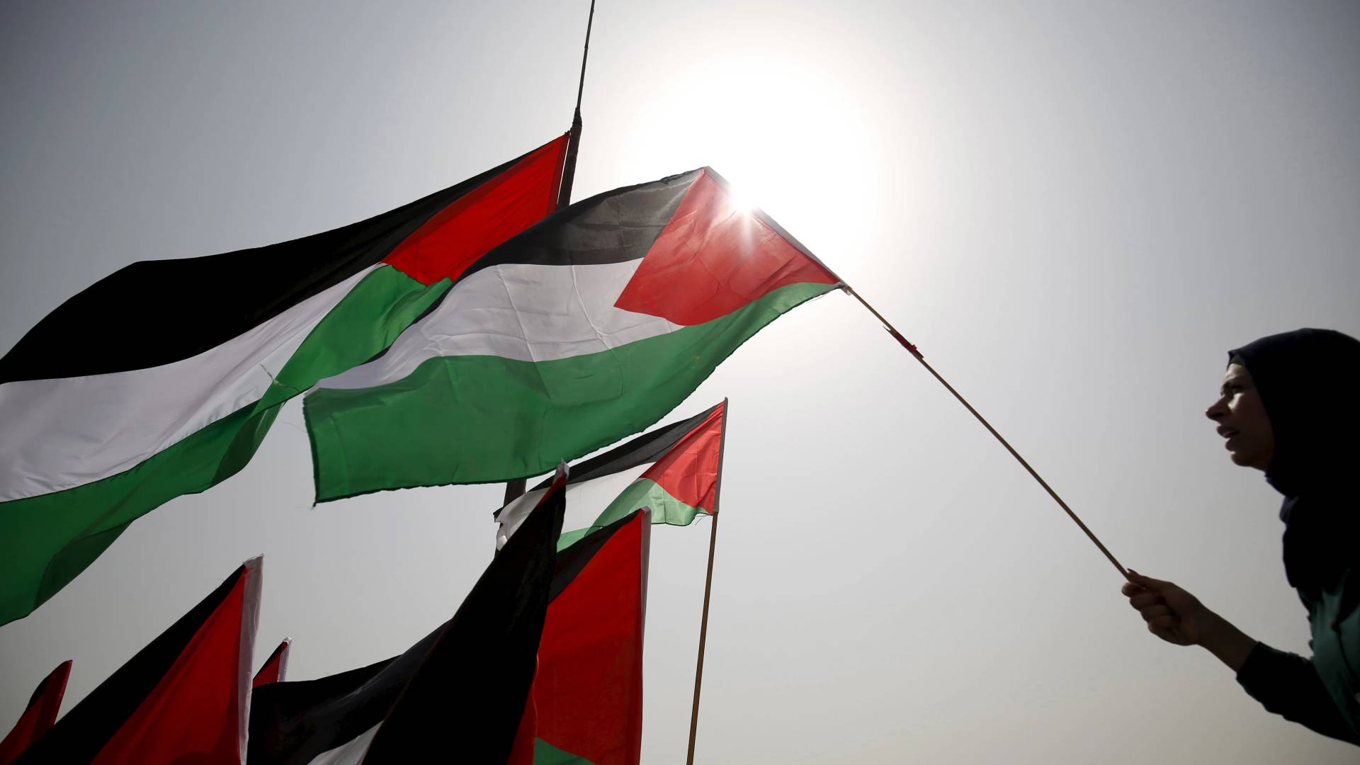 العلم الفلسطيني