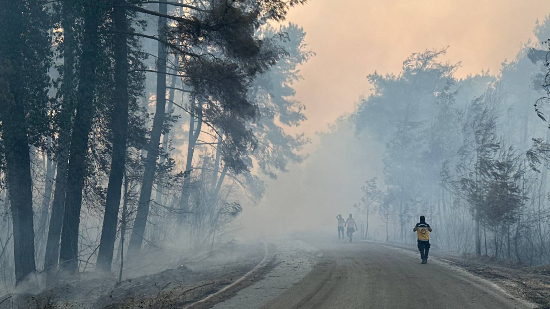 حرائق الغابات في سوريا