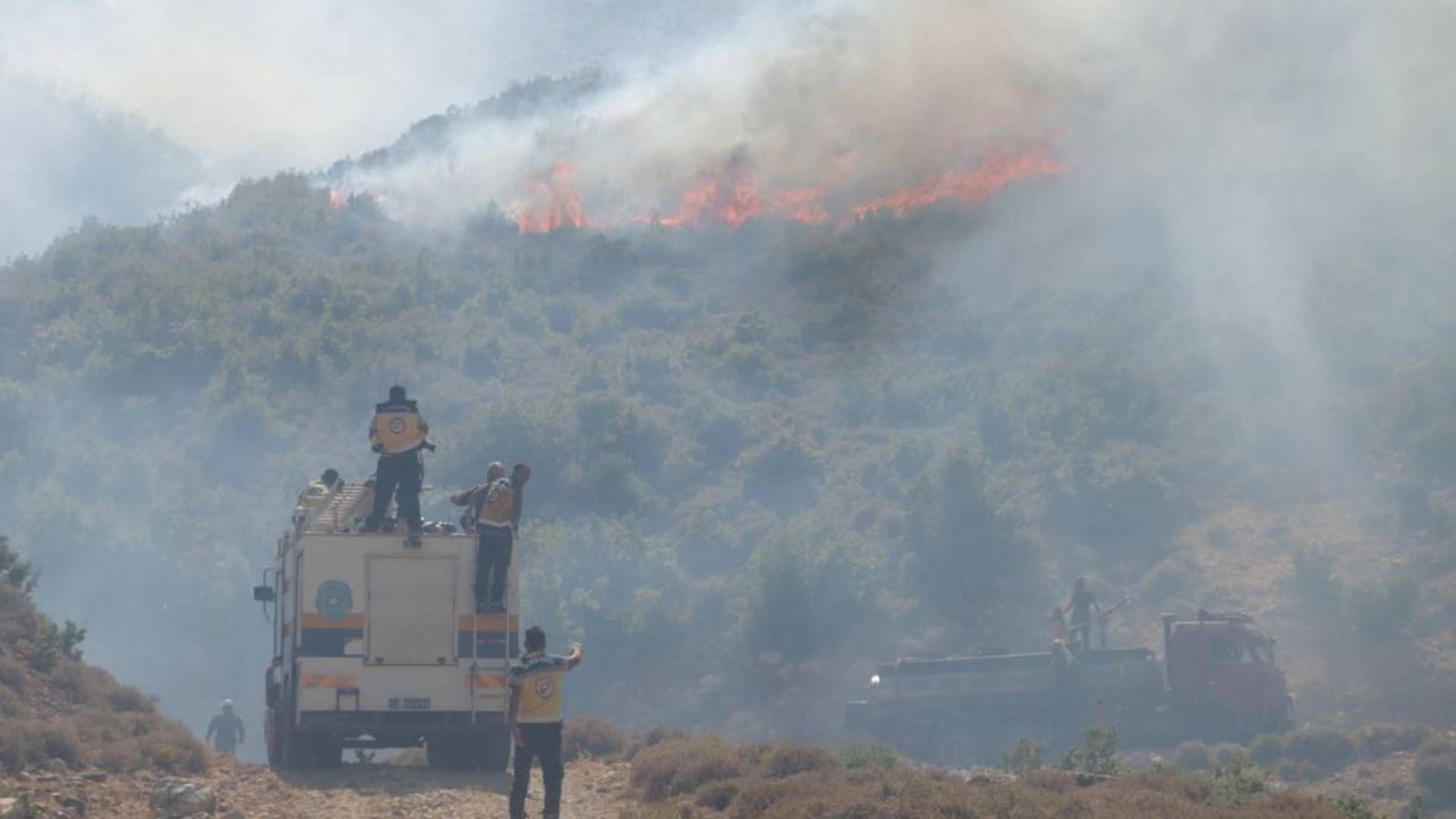 حرائق اللاذقية في سوريا