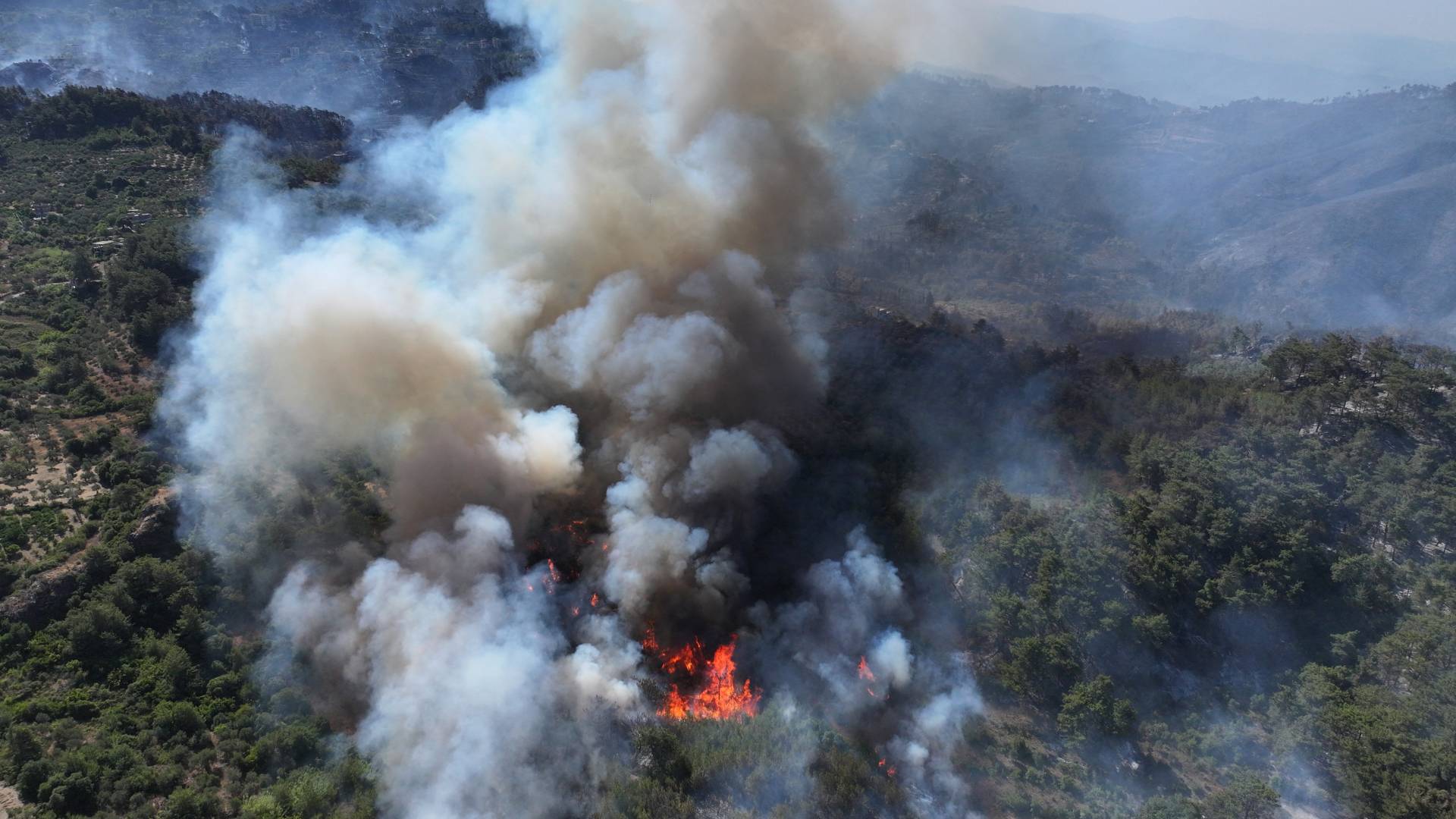 حرائق اللاذقية