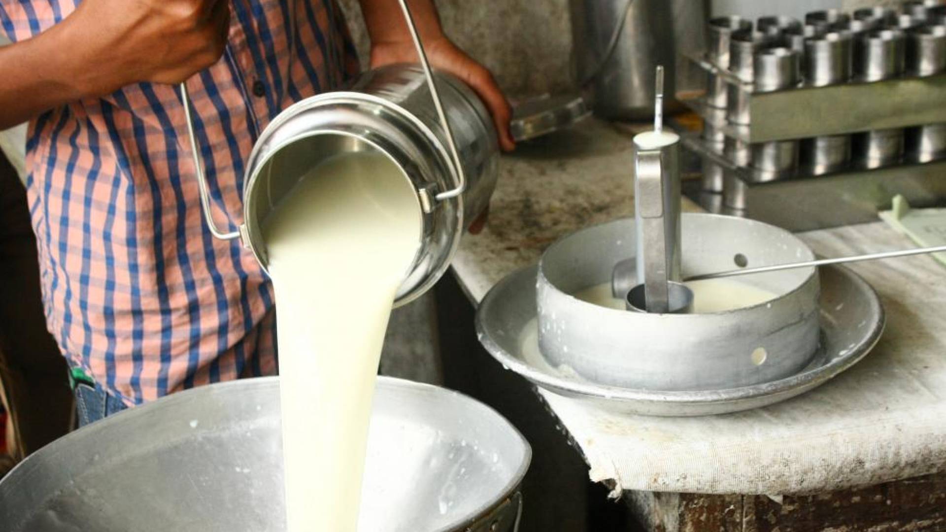 تصنيع الألبان