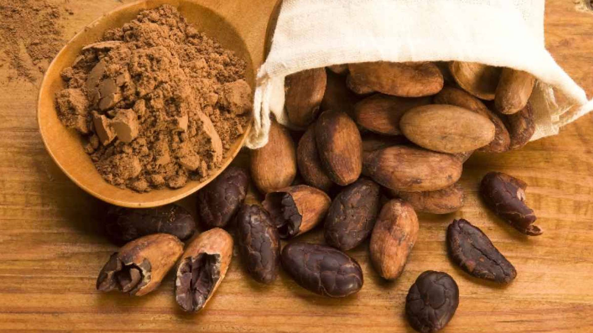 ثمرة الكاكاو