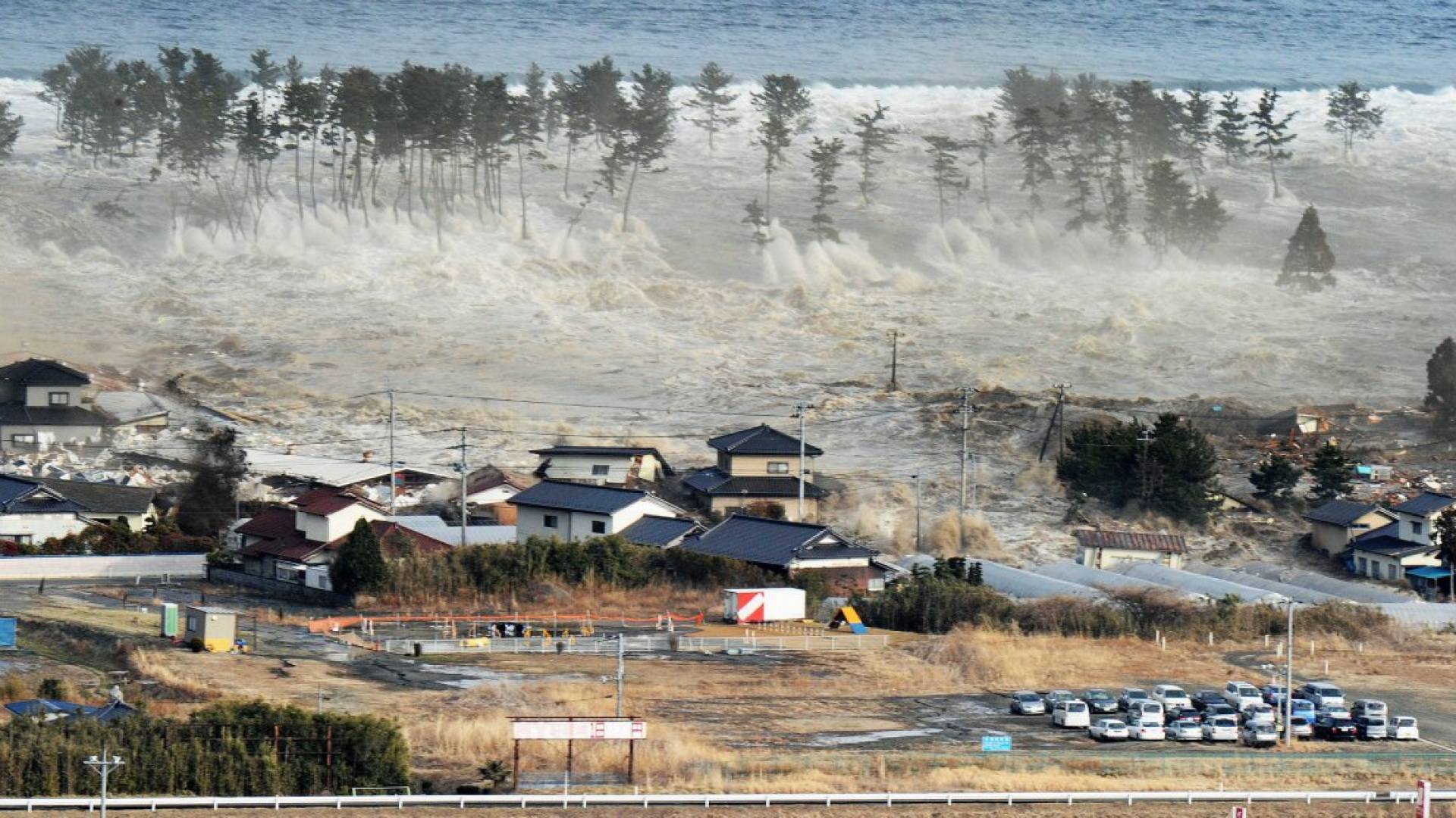 سواحل ألاسكا