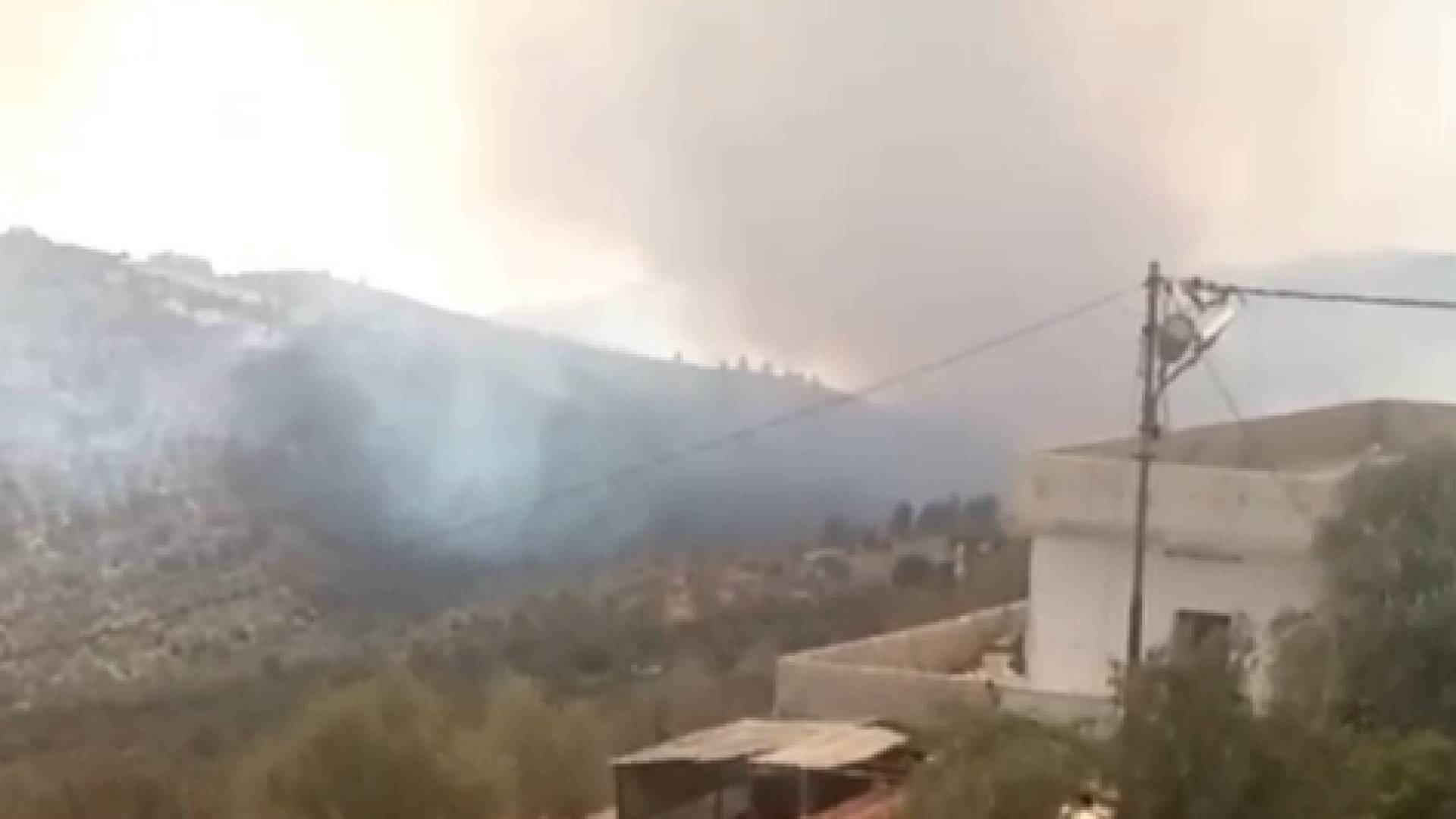 حريق يلتهم مساحات واسعة من أحراش عجلون وجرش