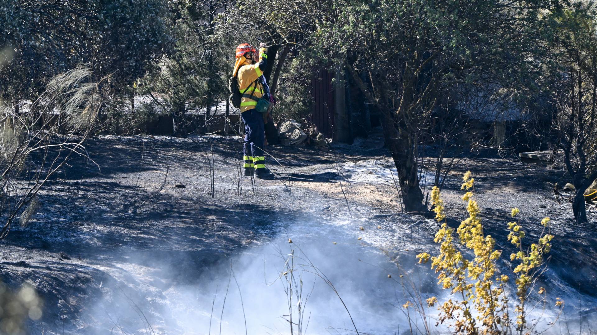 حقول محترقة بعد حريق غابات اندلع في بلدية مينتريدا قرب مدينة توليدو