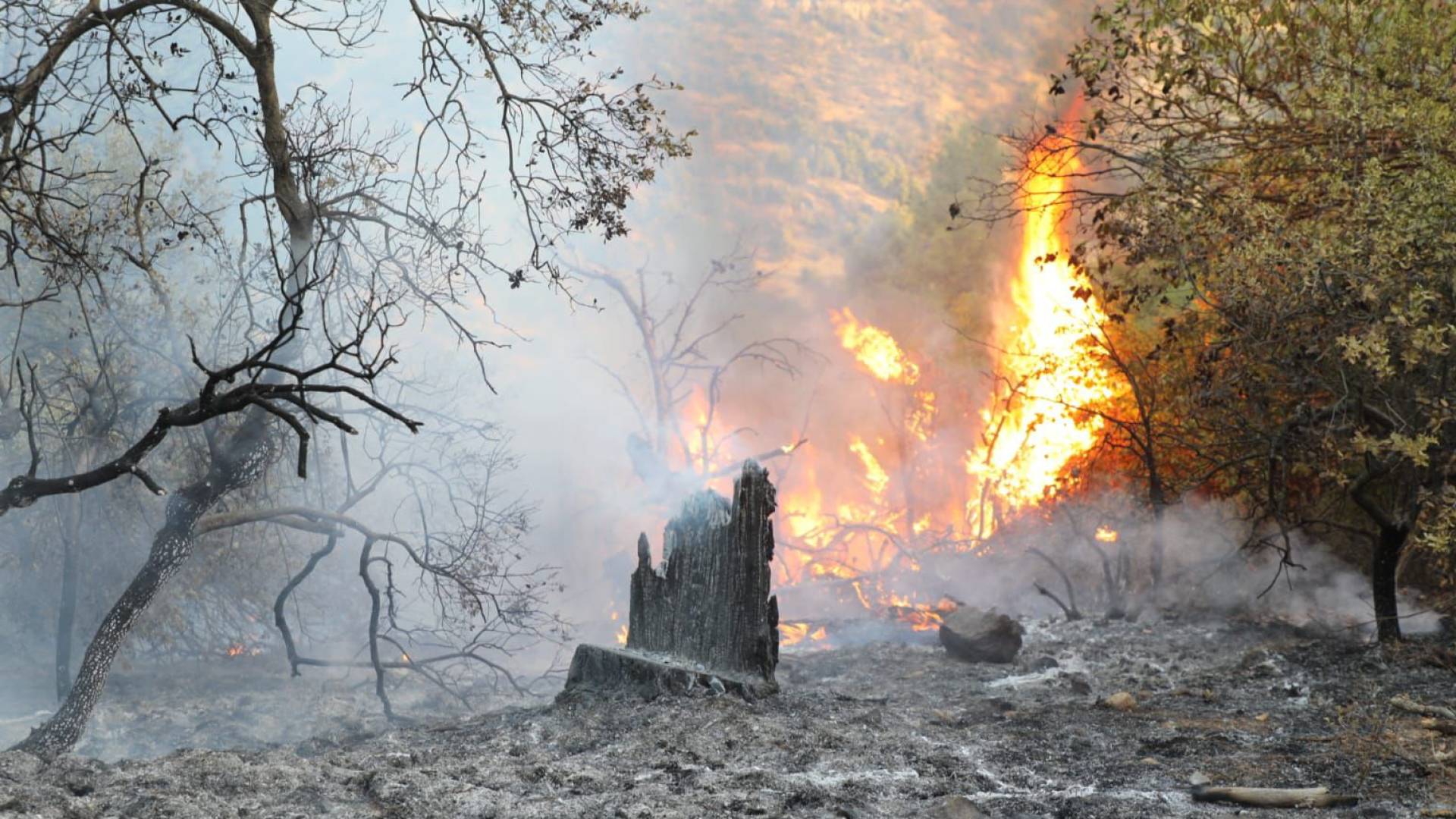 حرائق حرجية