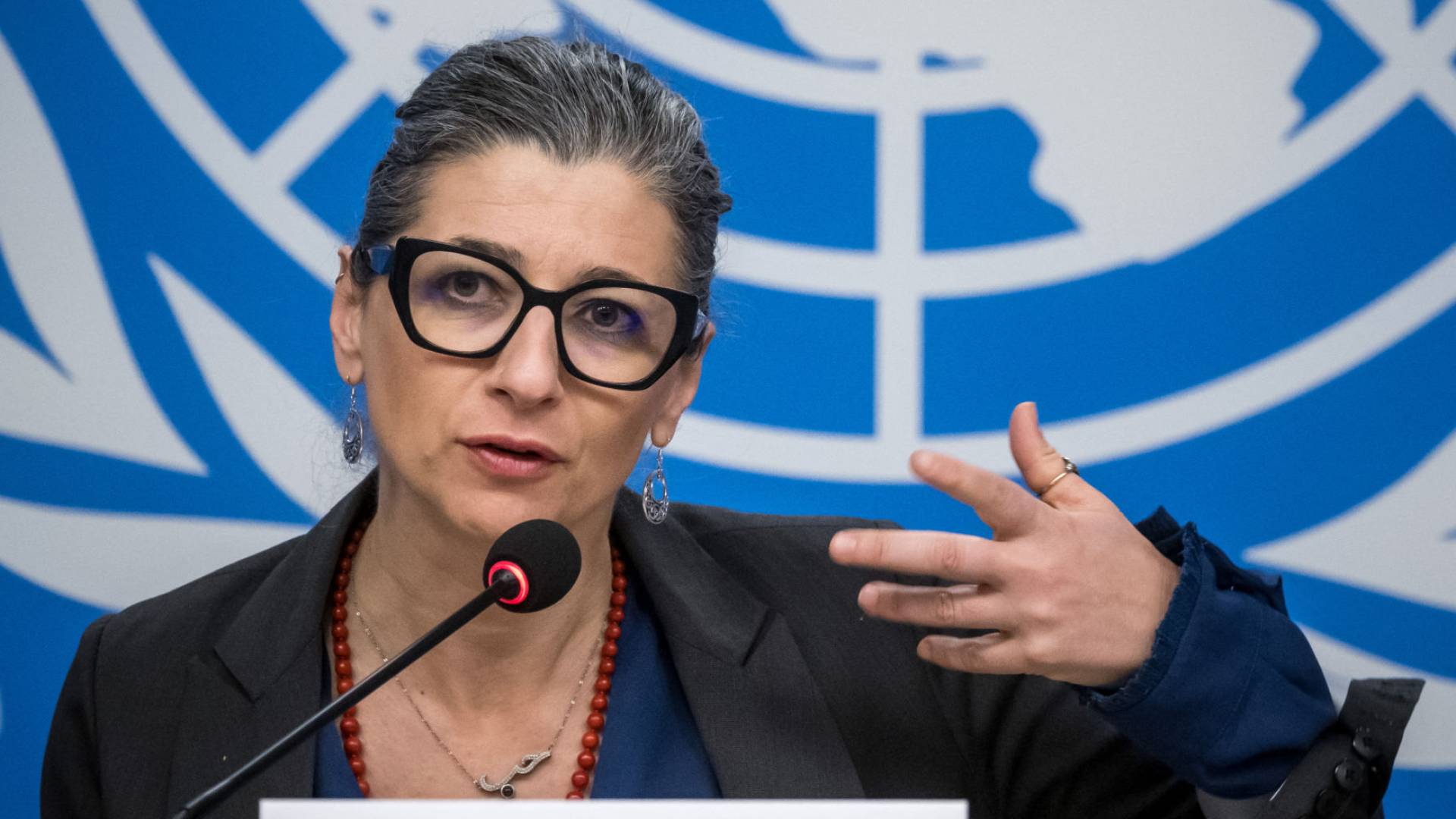 فرانشيسكا ألبانيز