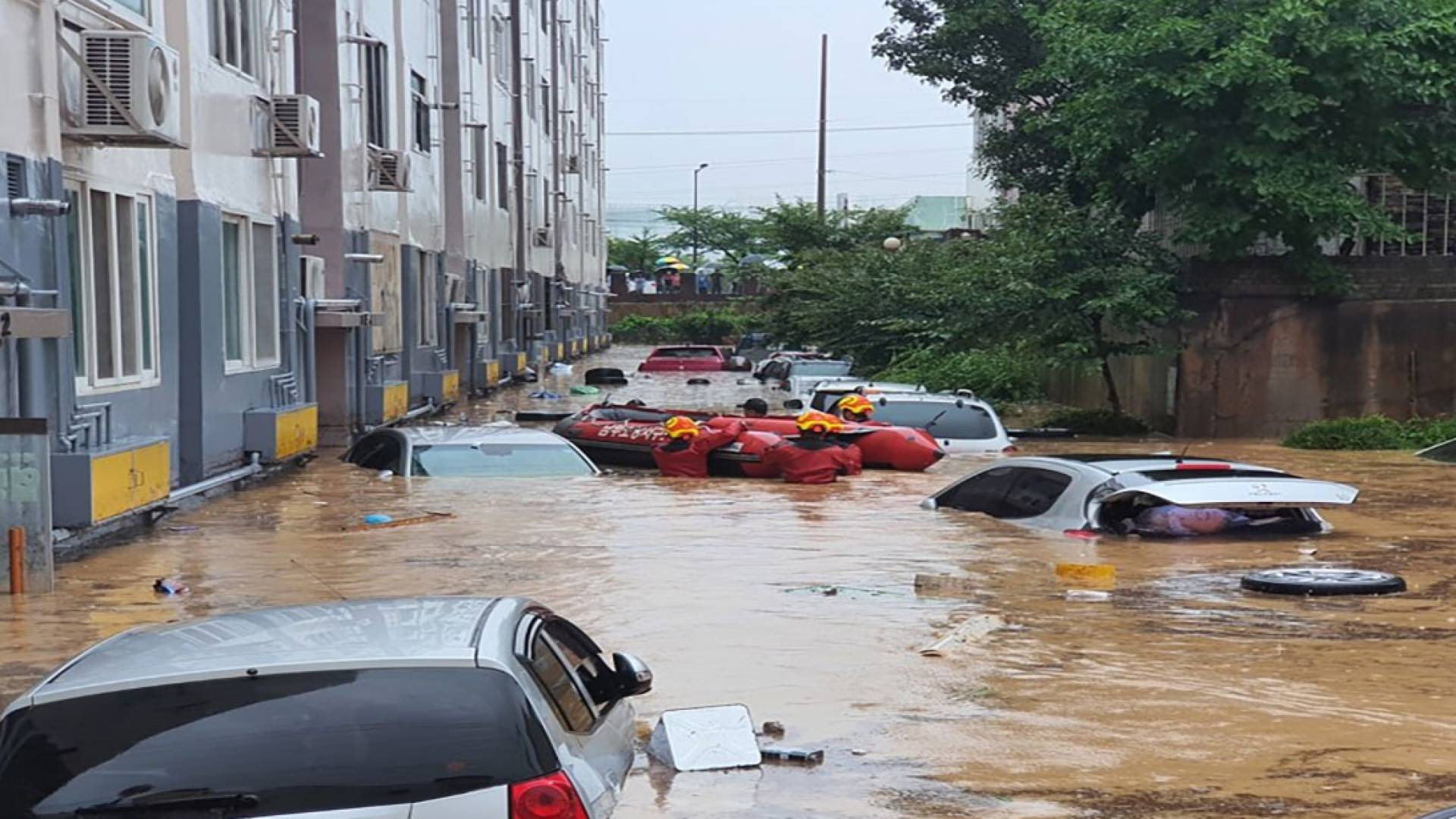 فيضانات كوريا