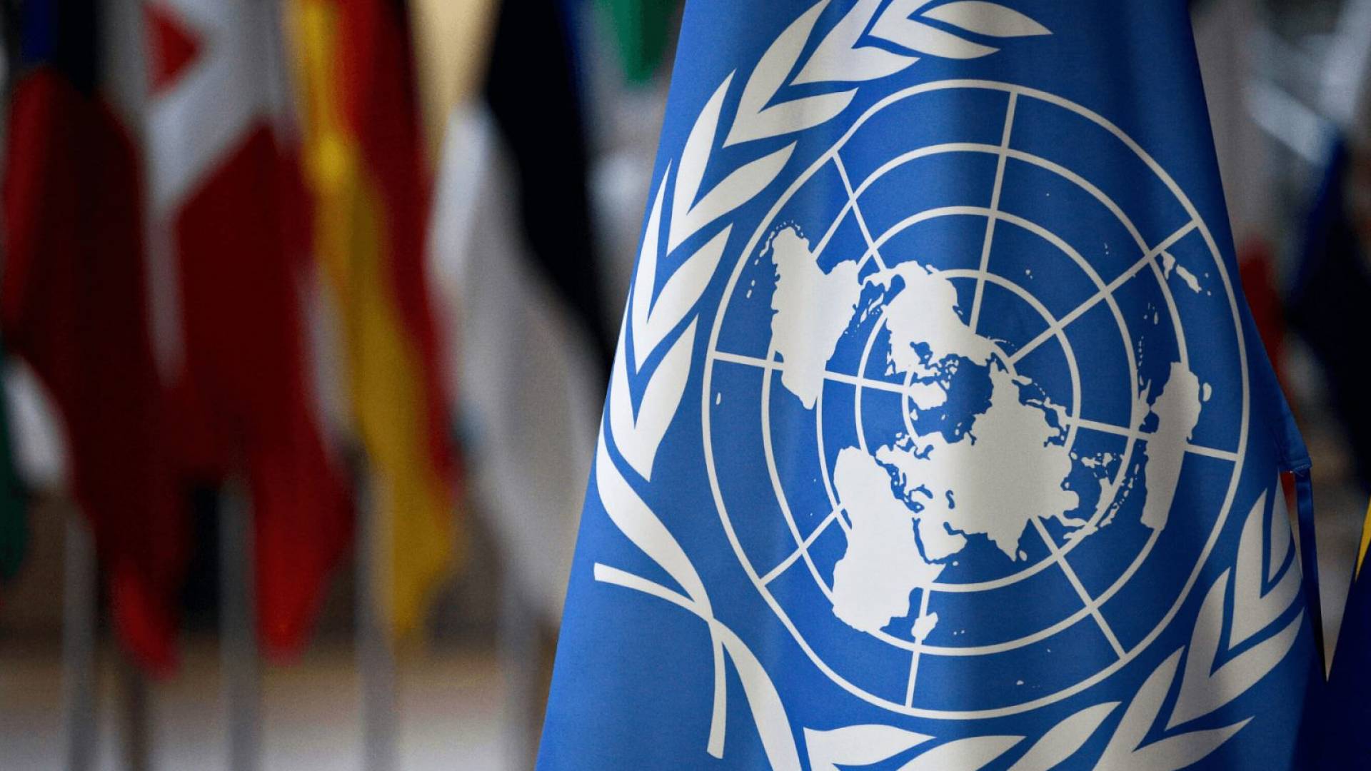 الامم المتحدة