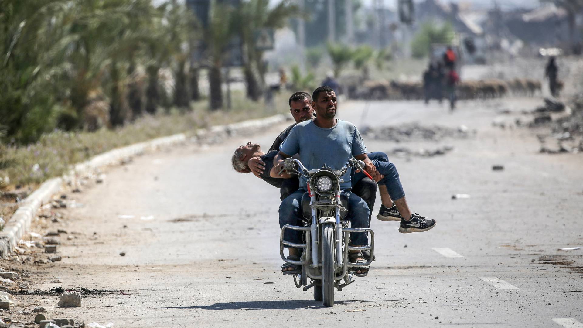 الشهداء في غزة