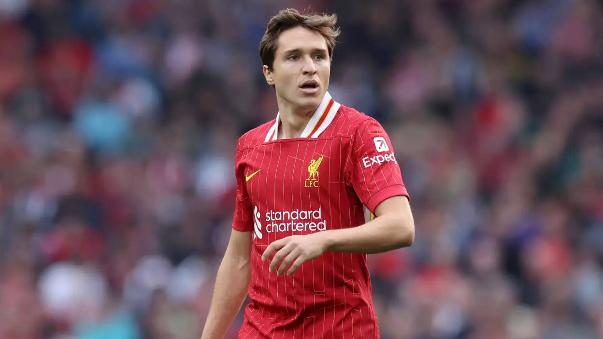 الجناح الإيطالي فيديريكو كييزا