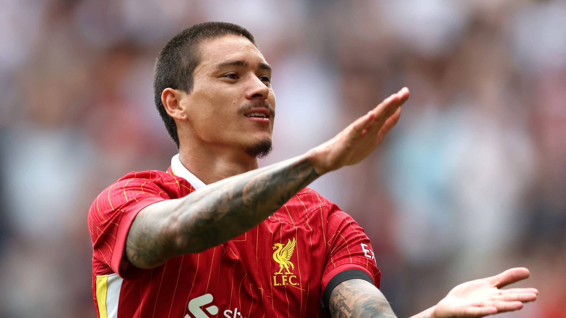 داروين نونيز