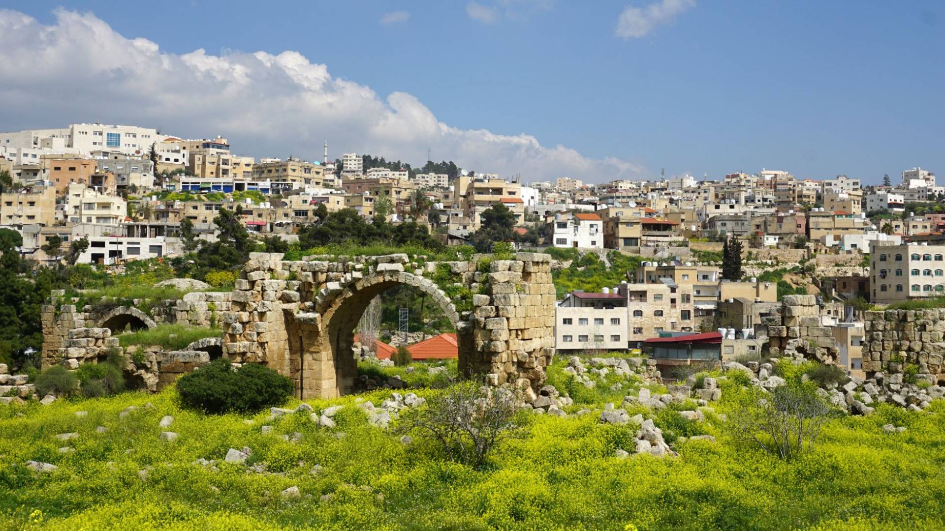 لقطة من جرش