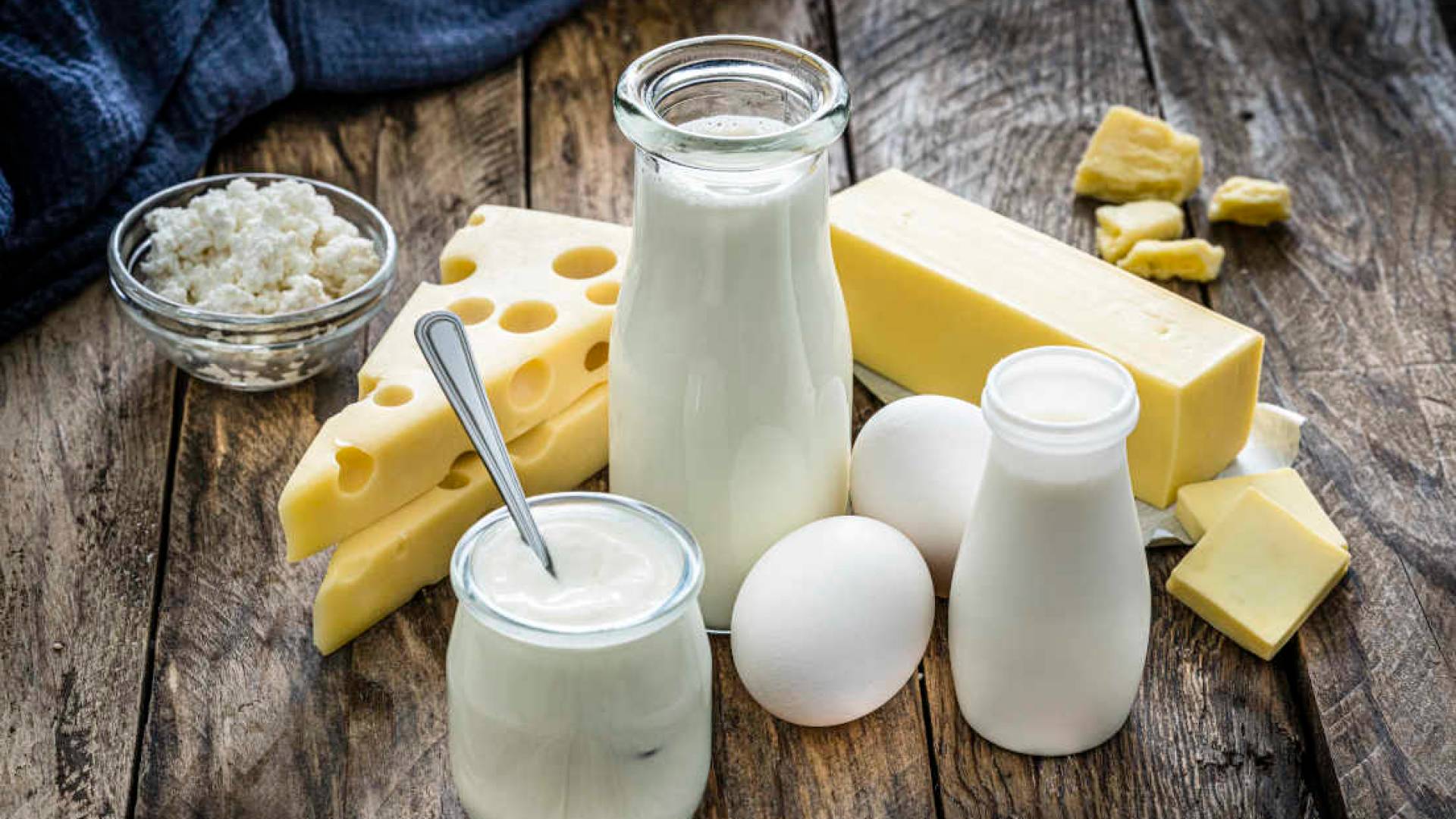 منتجات الألبان