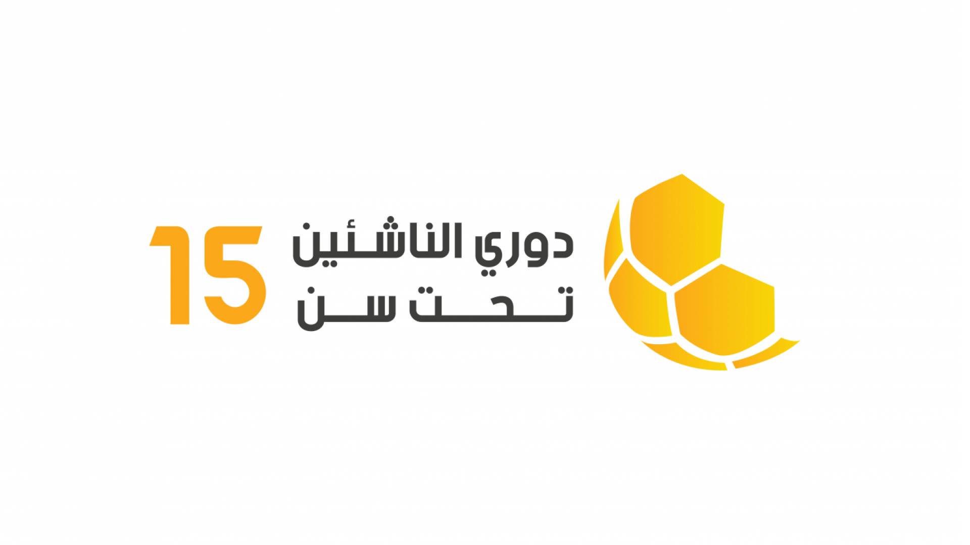 دوري الناشئين تحت 15