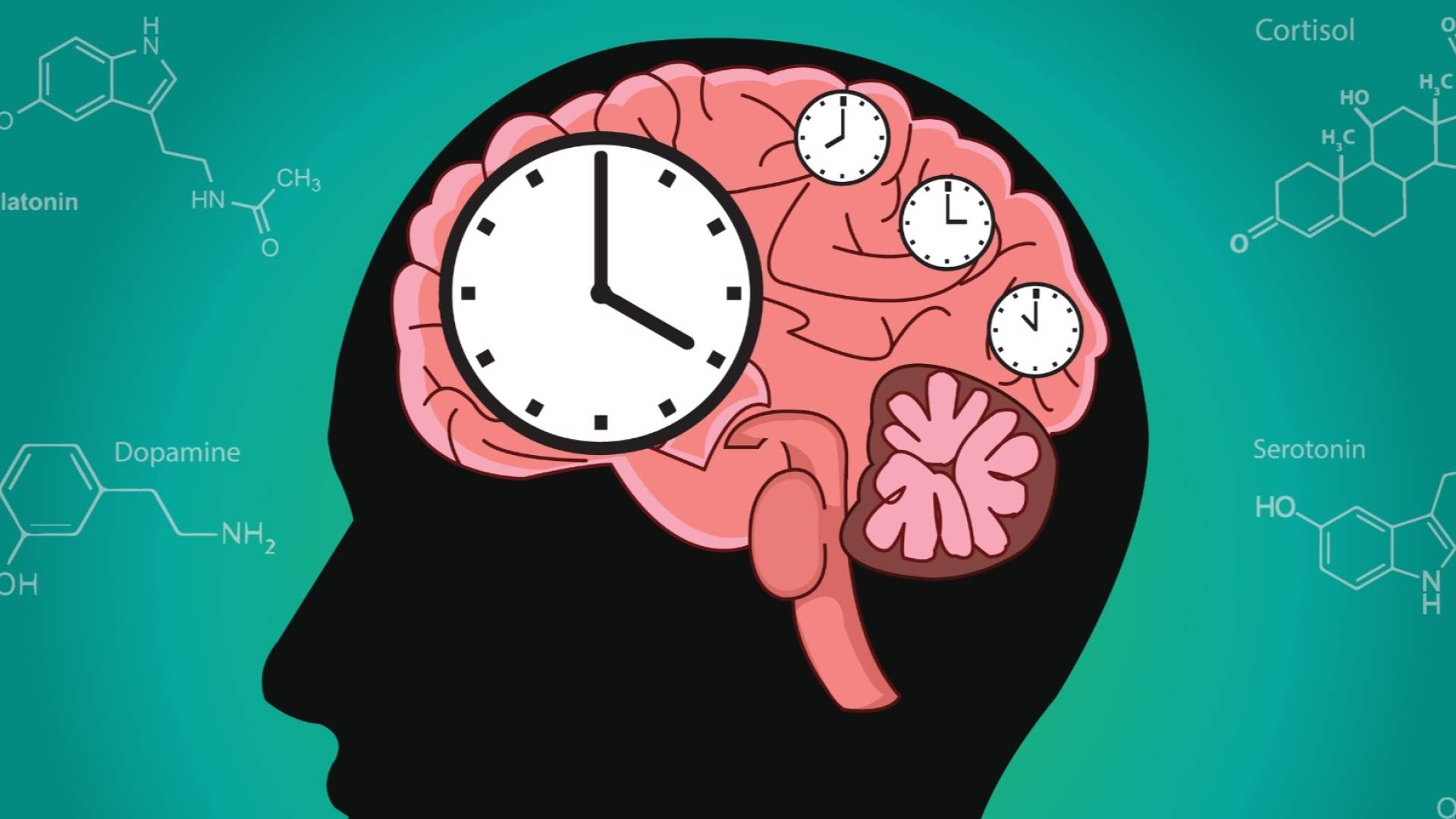 صورة واحدة لدماغك تكشف أسرار شيخوختك.. اختراق علمي جديد يتنبأ بالأمراض والموت المبكر