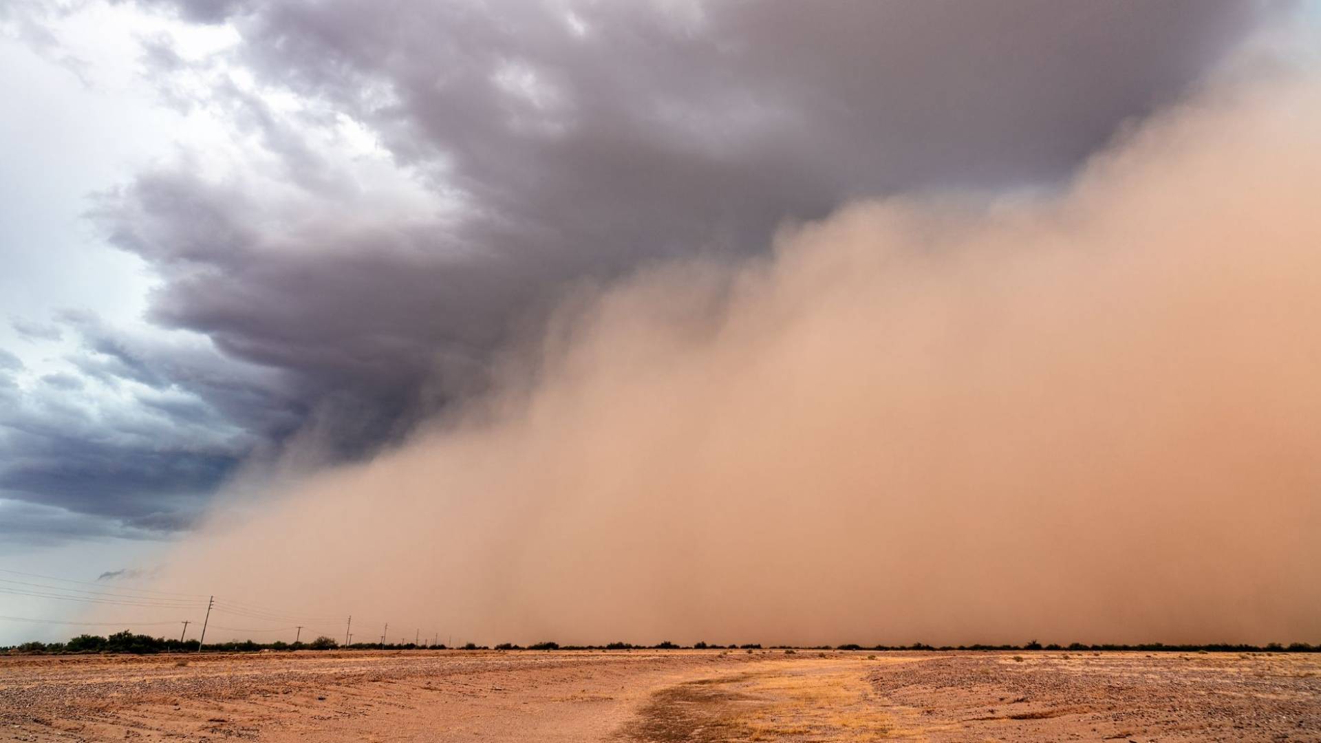 طقس العرب: موجات غبارية كثيفة تتسبب في تدن كبير بمدى الرؤية بعدة مناطق في الأردن