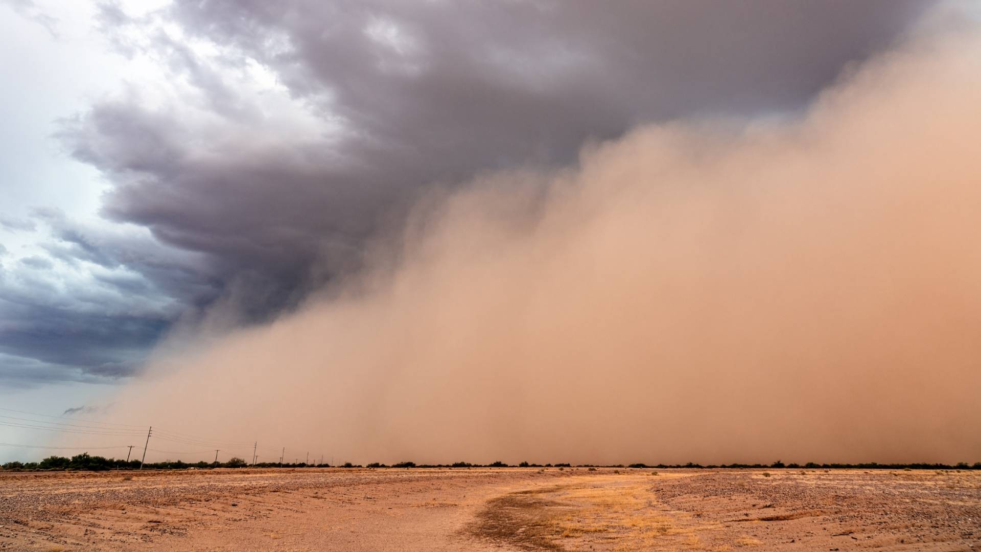 الأمن العام: تدني مدى الرؤية الأفقية بسبب الغبار في عدد من المناطق على امتداد الطريق الصحراوي