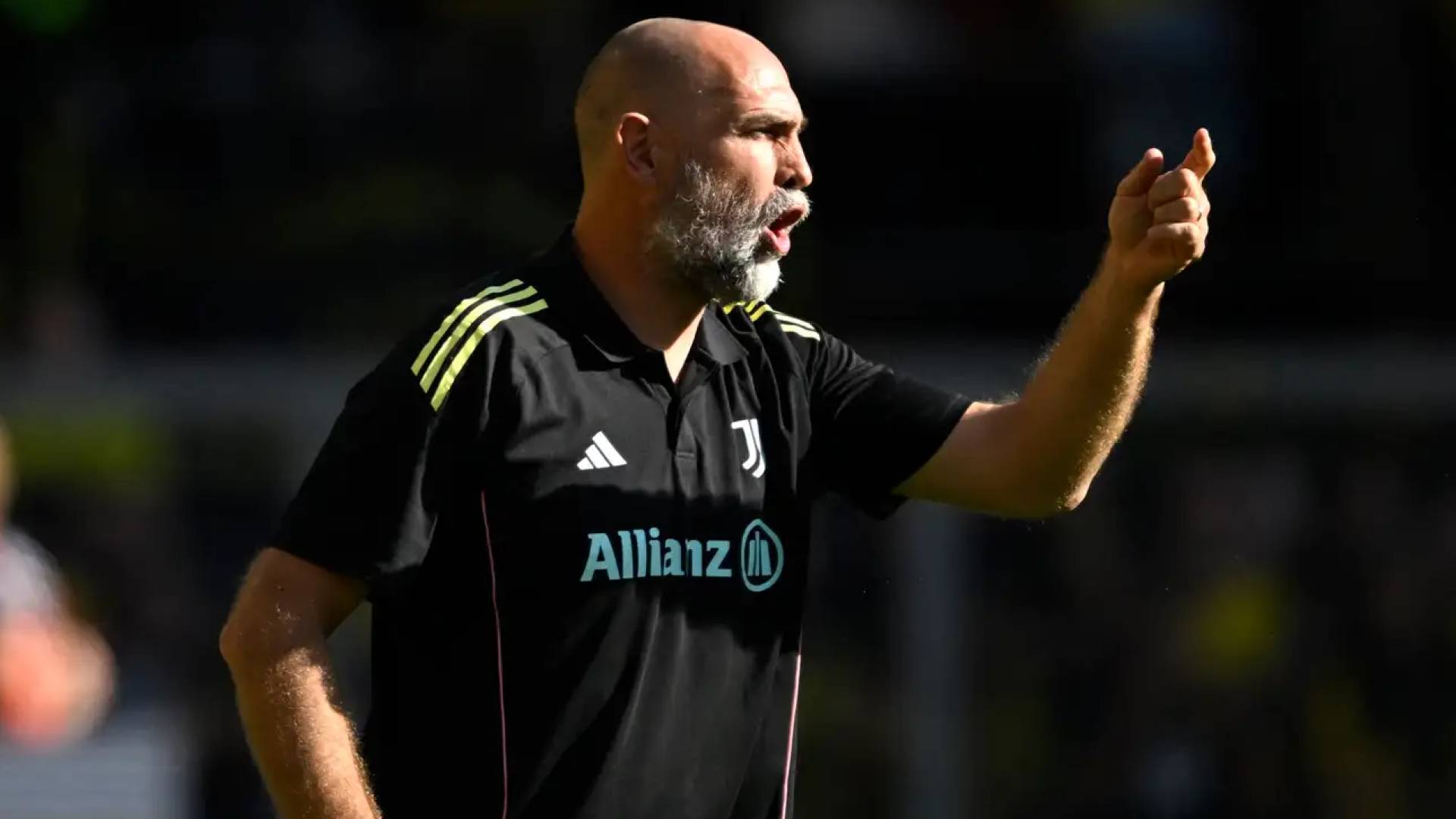 إيجور تودور