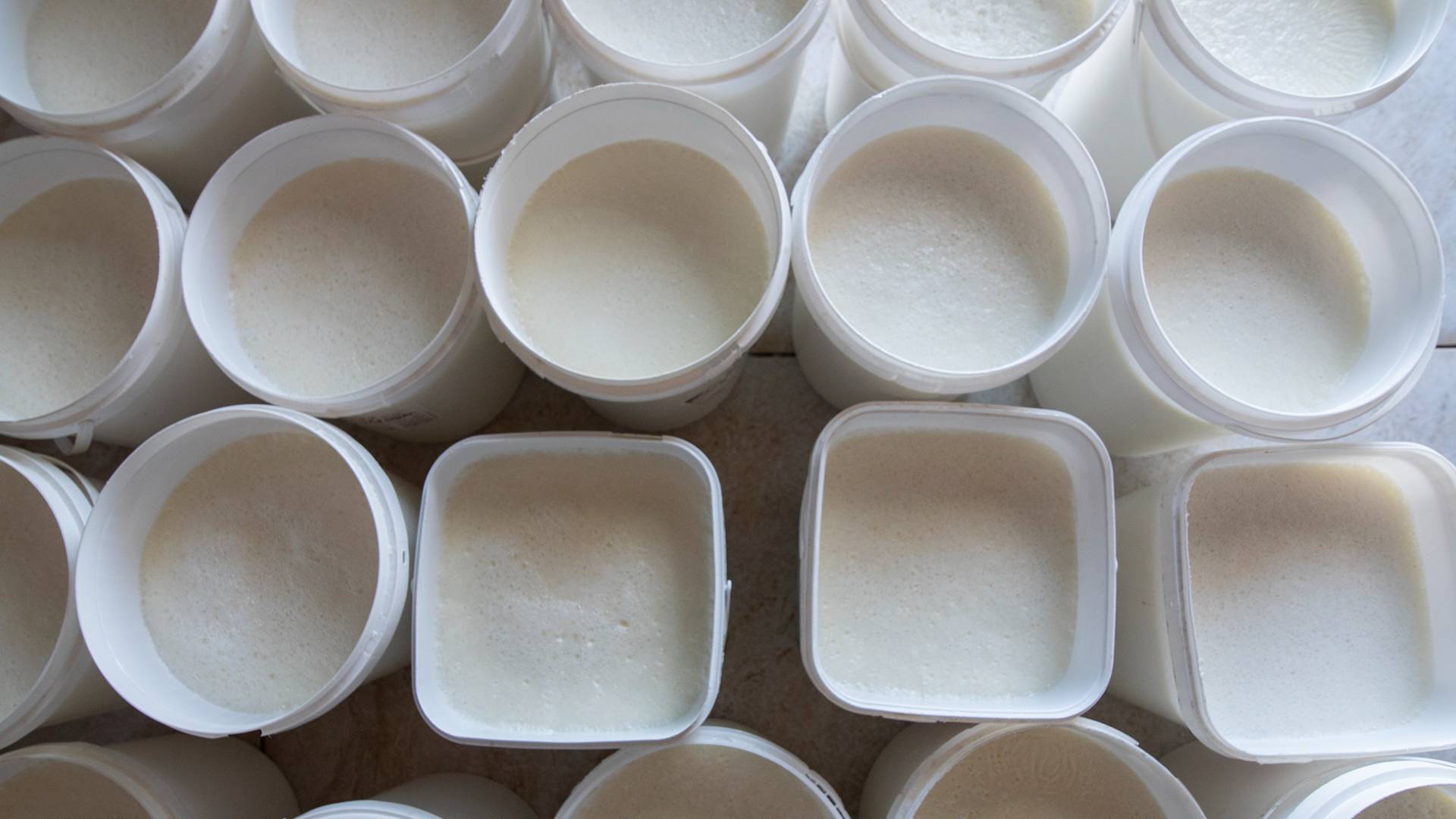 صورة تعبر عن تصنيع منتجات اللبنة