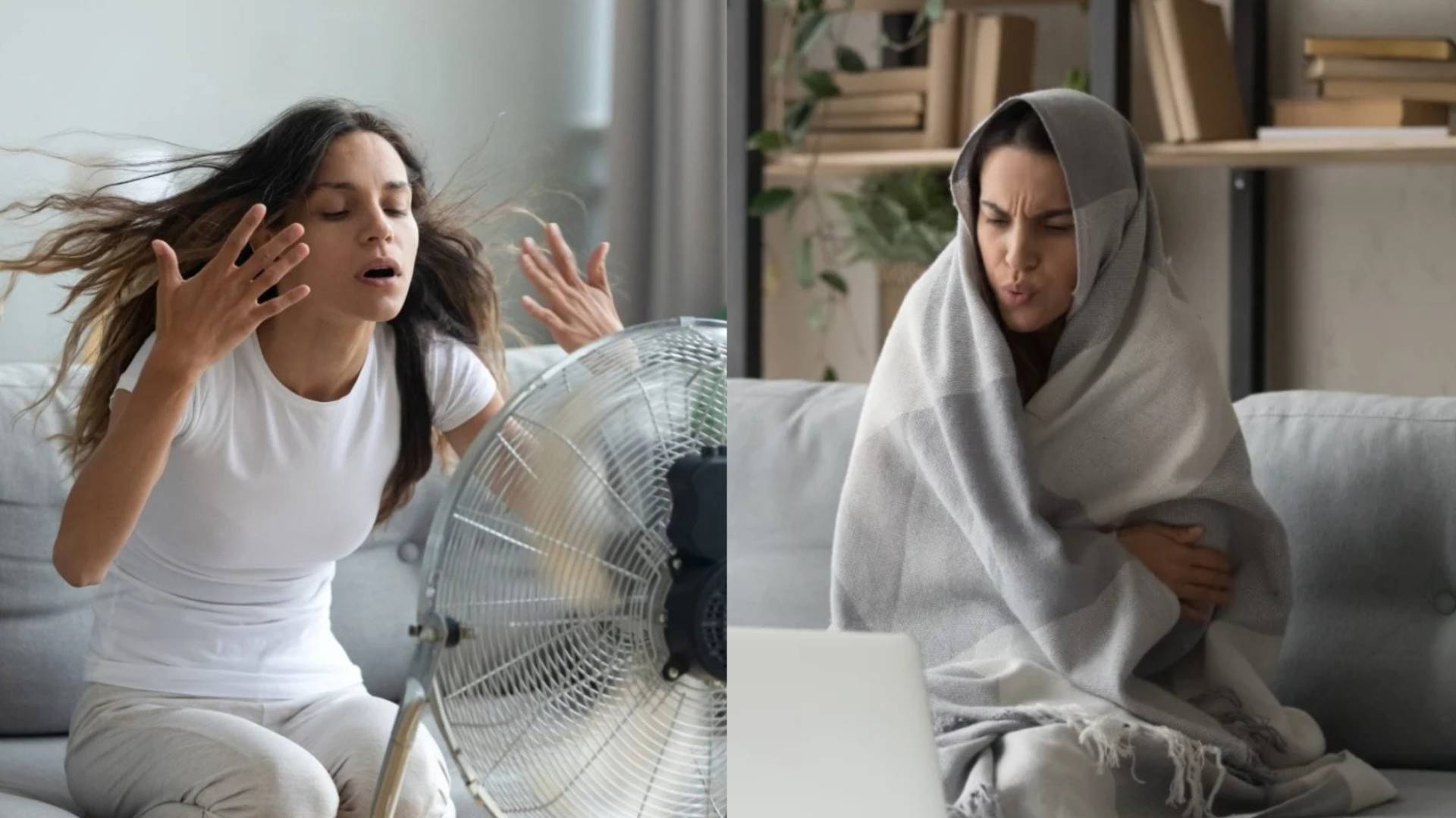 الحر والبرد