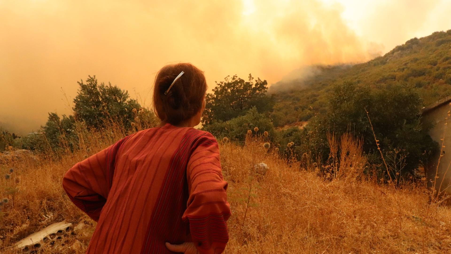 السيدة السورية زيزوف علي