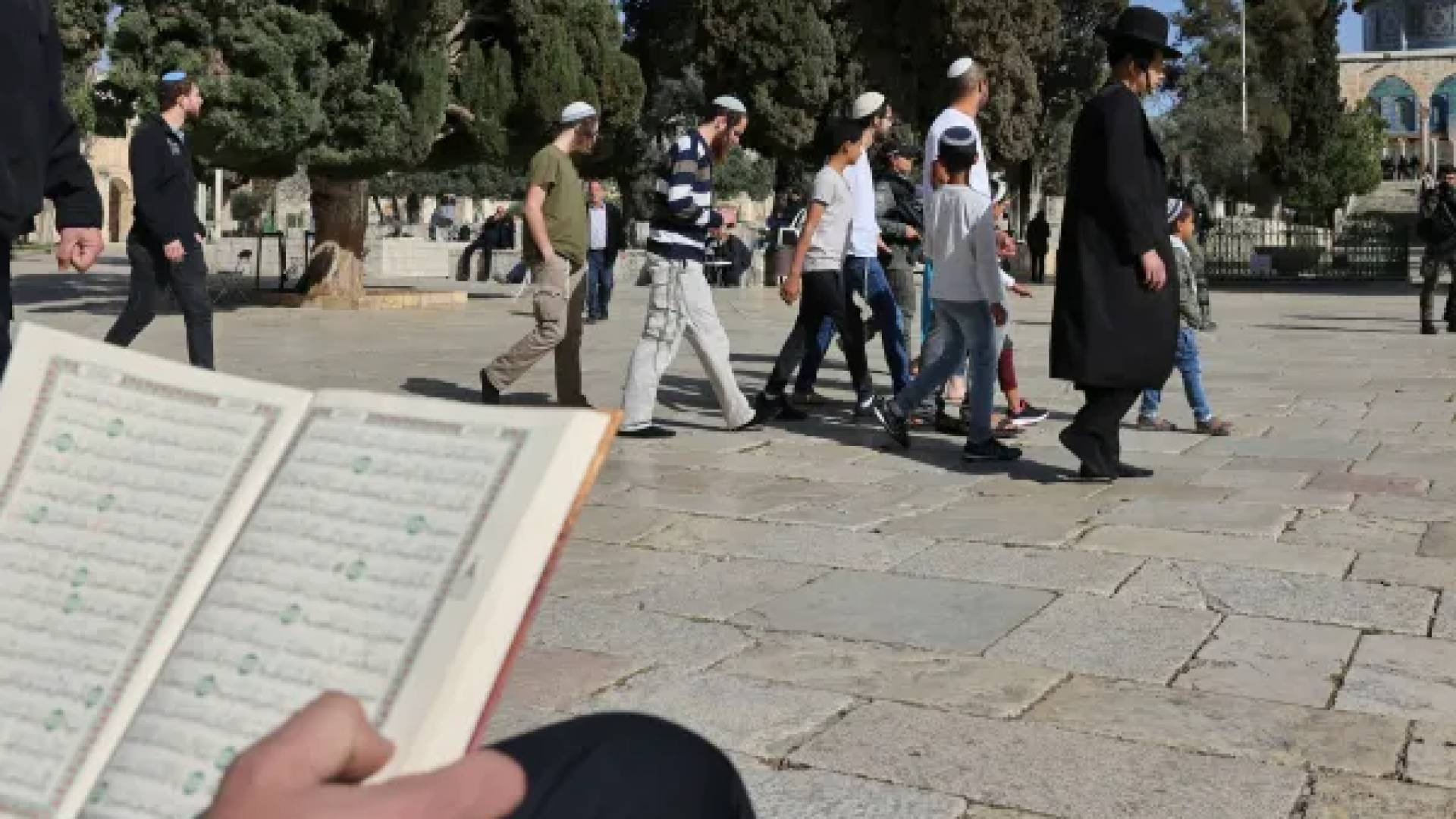 مستوطنون يقتحمون المسجد الأقصى