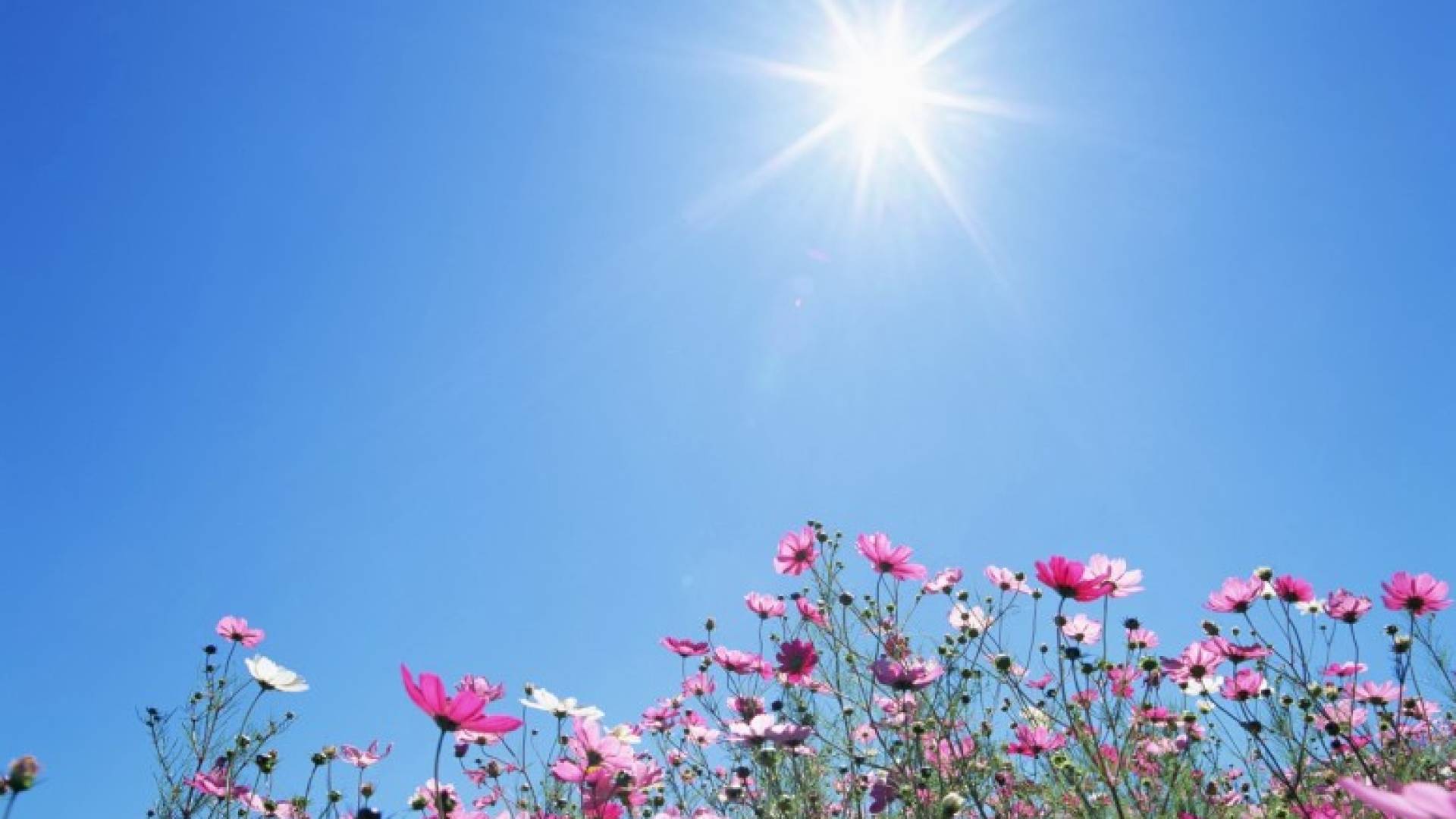 أجواء صيفية"تعبيرية"