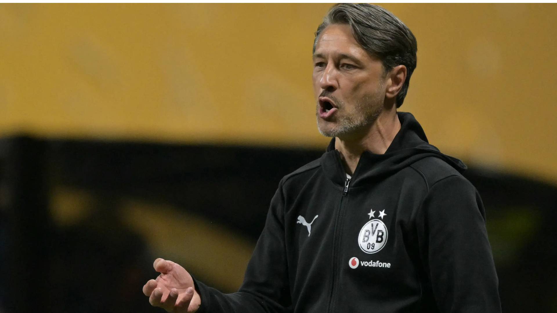 نيكو كوفاتش