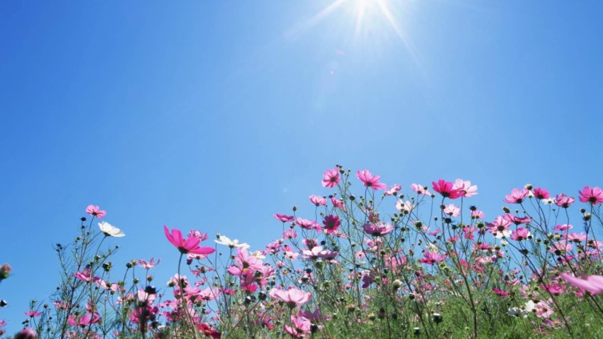 أجواء صيفية "تعبيرية"