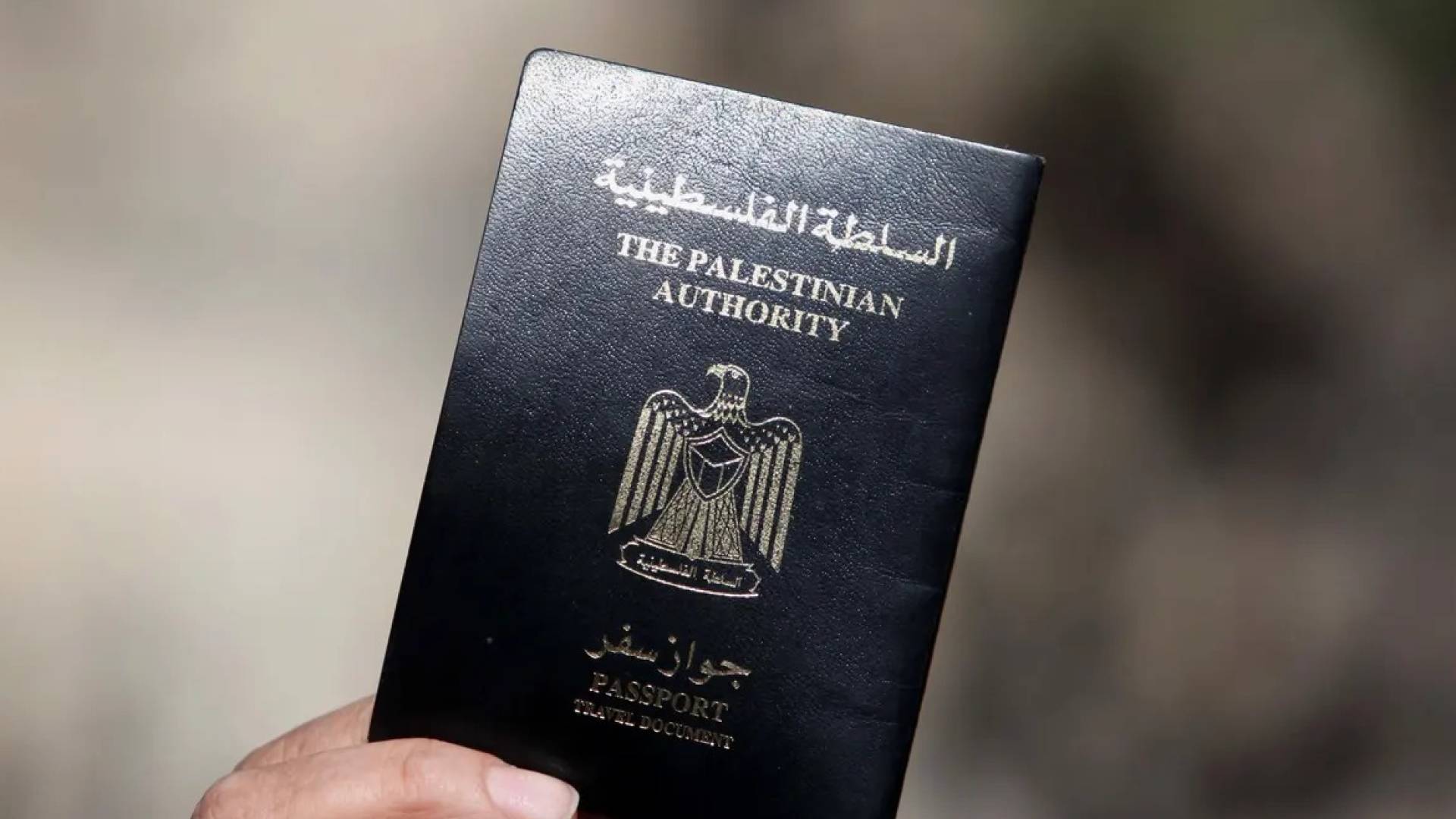 جواز السفر الفلسطيني