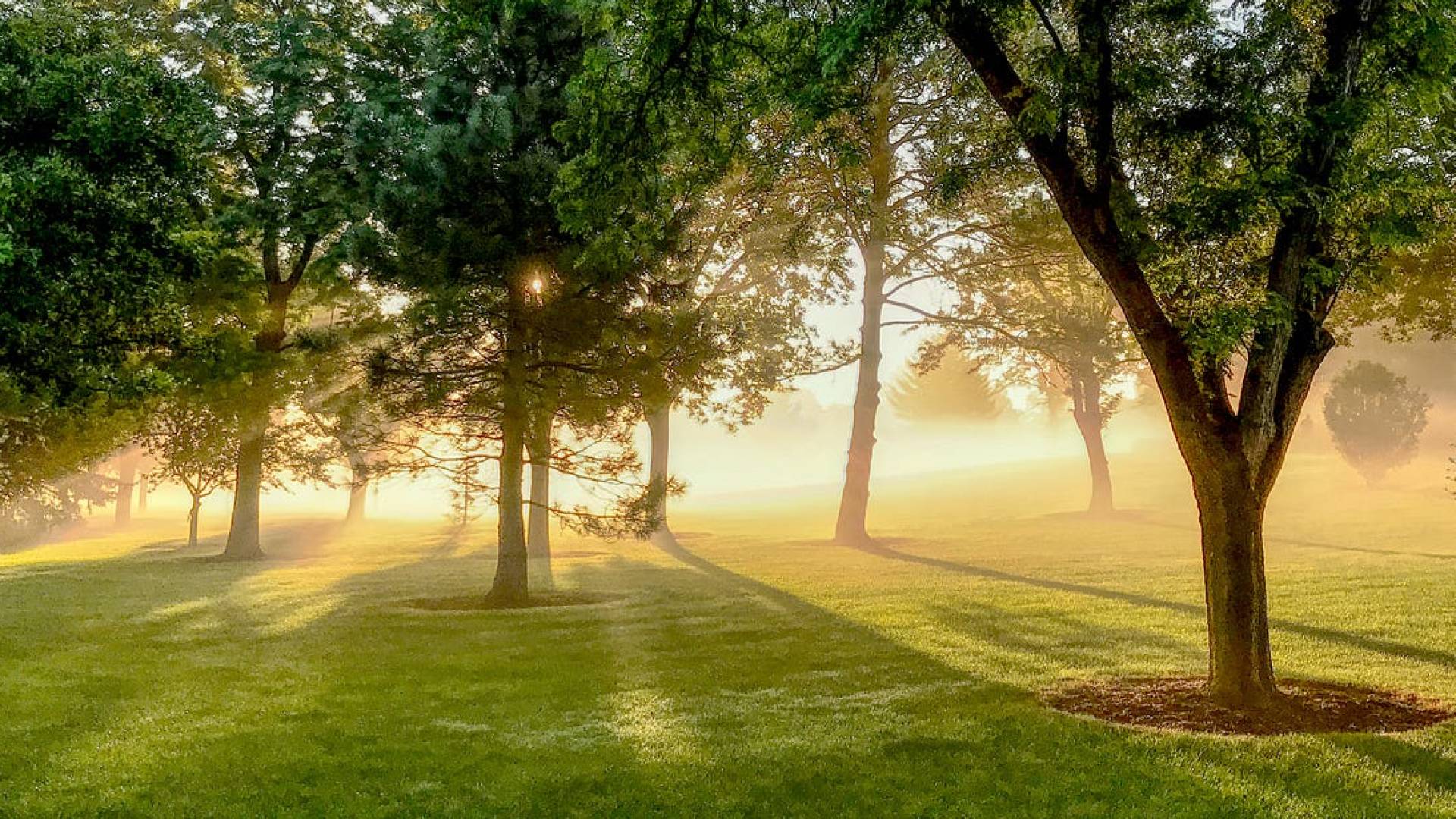 صورة تعبيرية عن الطقس