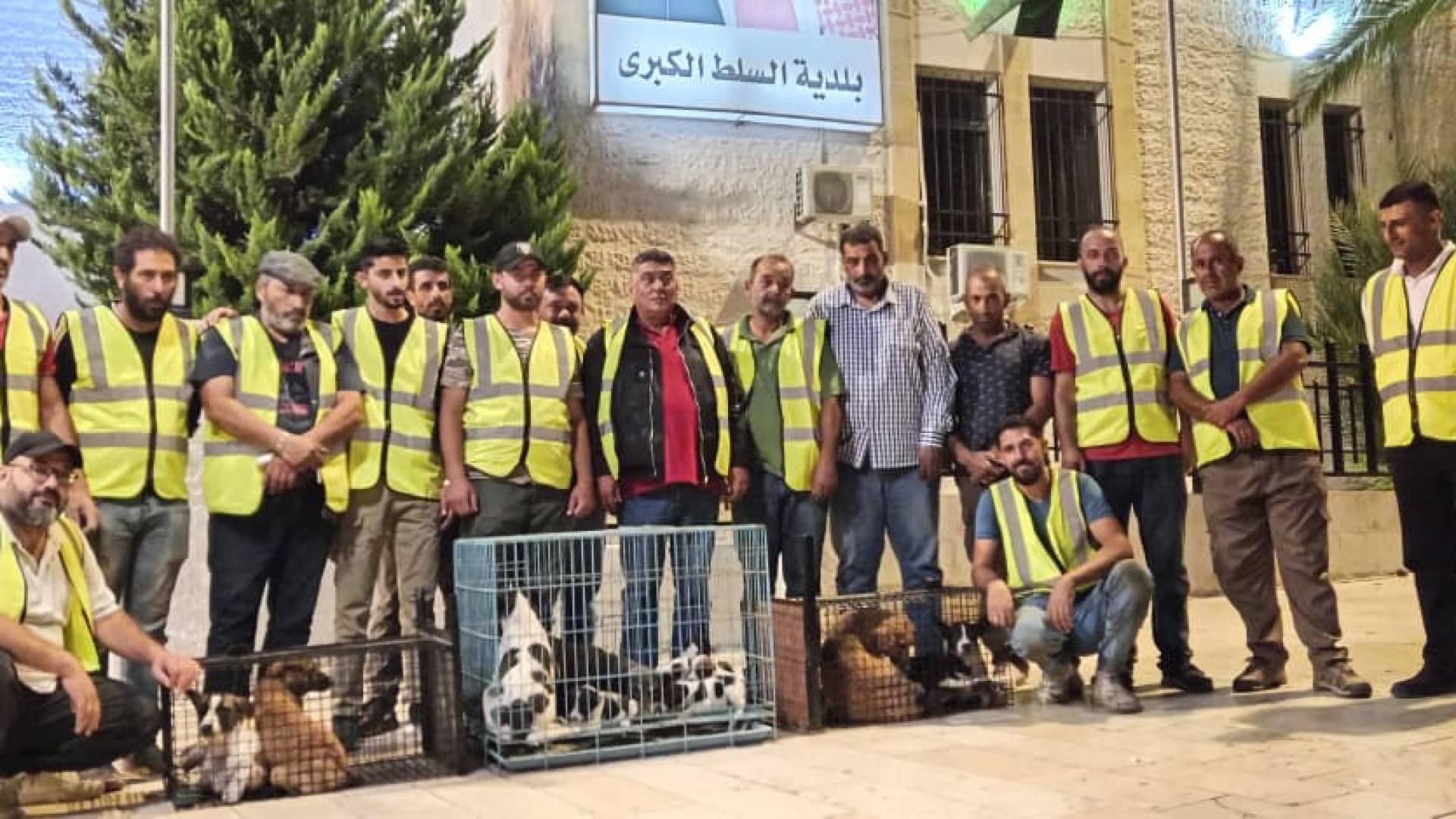حملة غير مسبوقة لجمع الكلاب الضالة