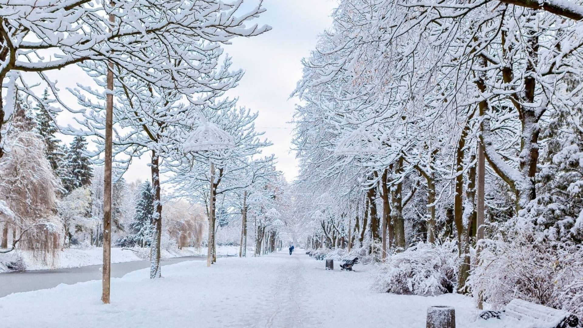 رمضان 2026 يحل في أبرد فترات العام.. فهل تتكرر "ثلوج التراويح" التي شهدها الأردن عام 1998؟